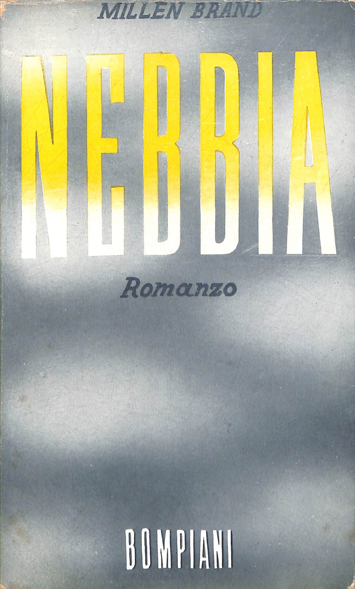 Nebbia : romanzo