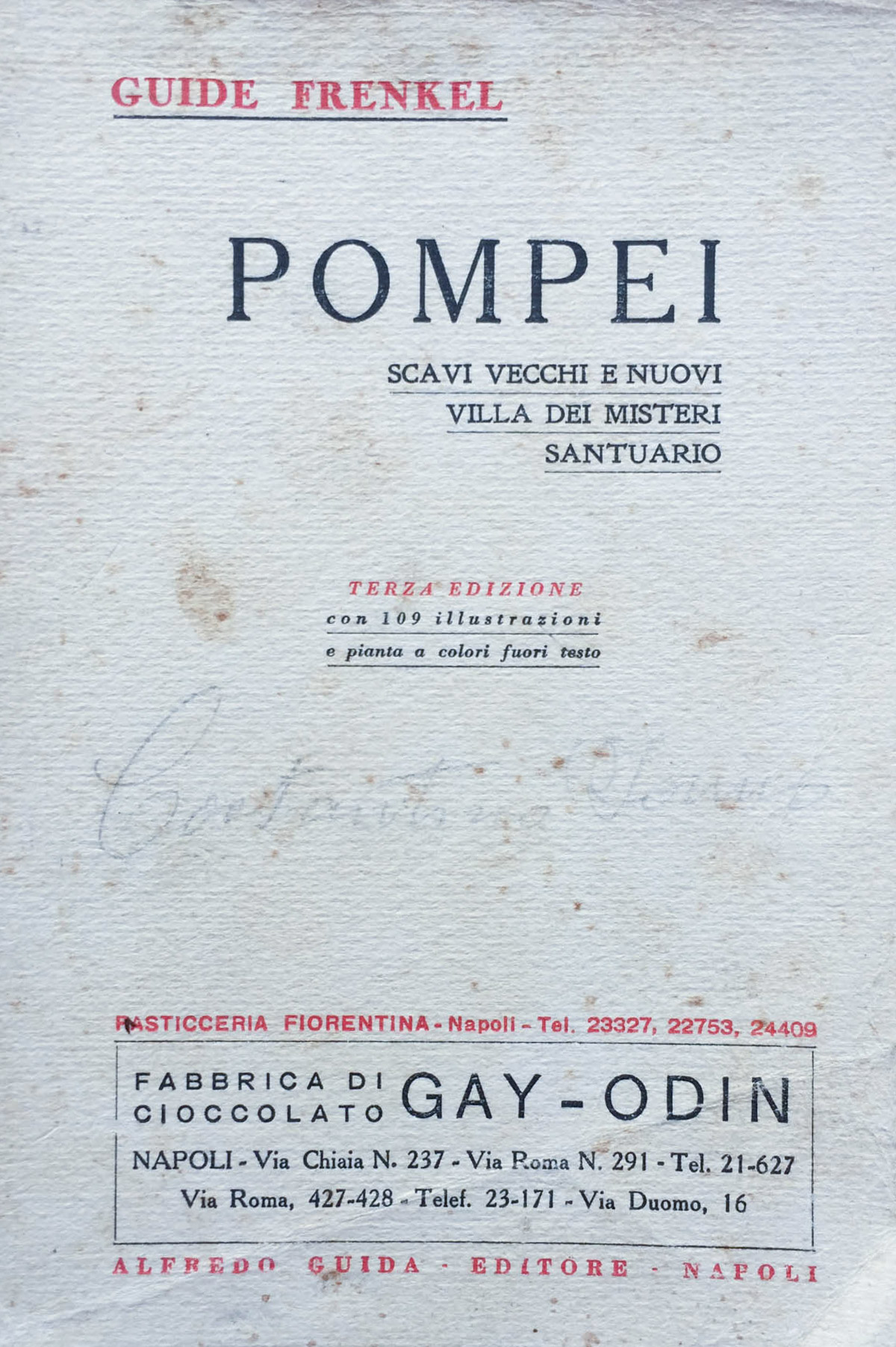Pompei. Nuova guida (terza edizione)