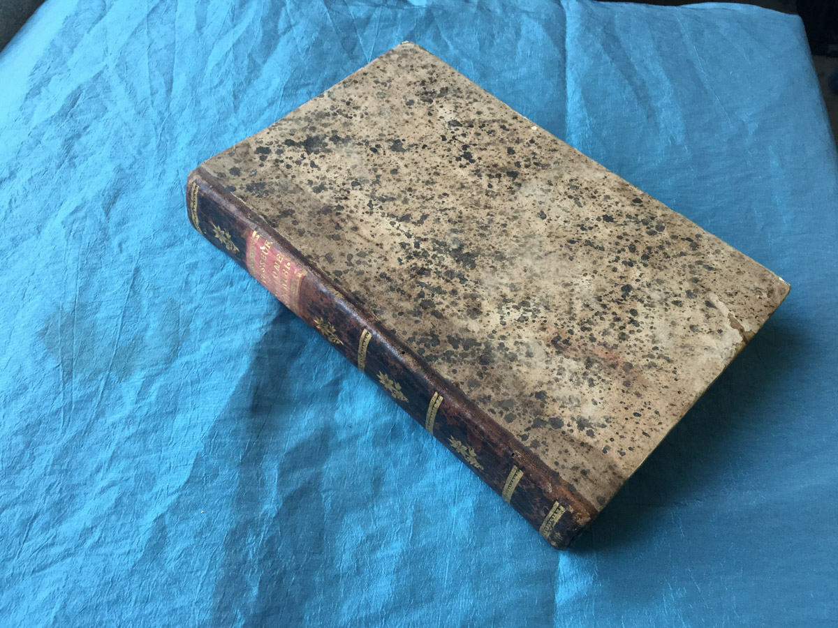 Porzione disponibile ossia trattato della porzione de' beni de' quali …