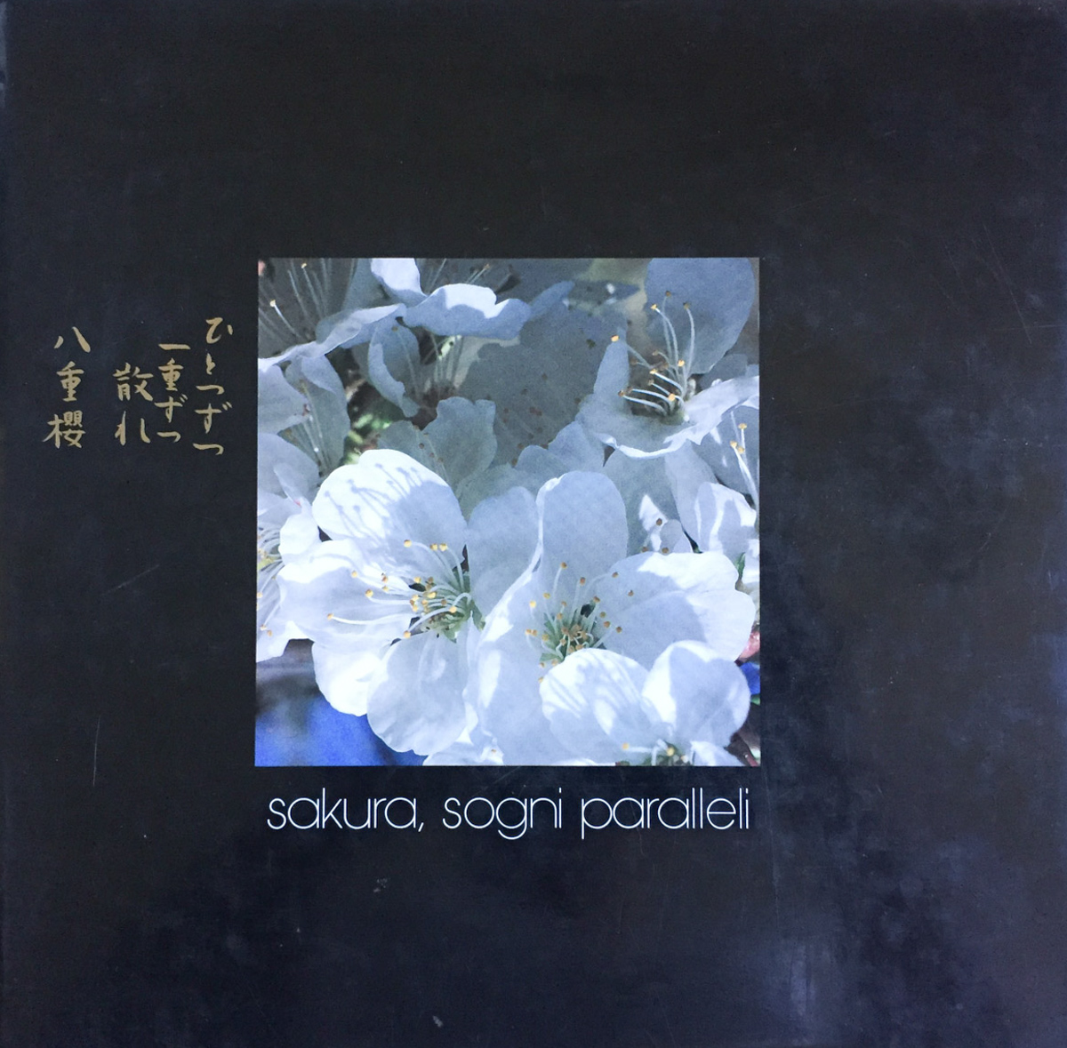 Sakura. Sogni paralleli