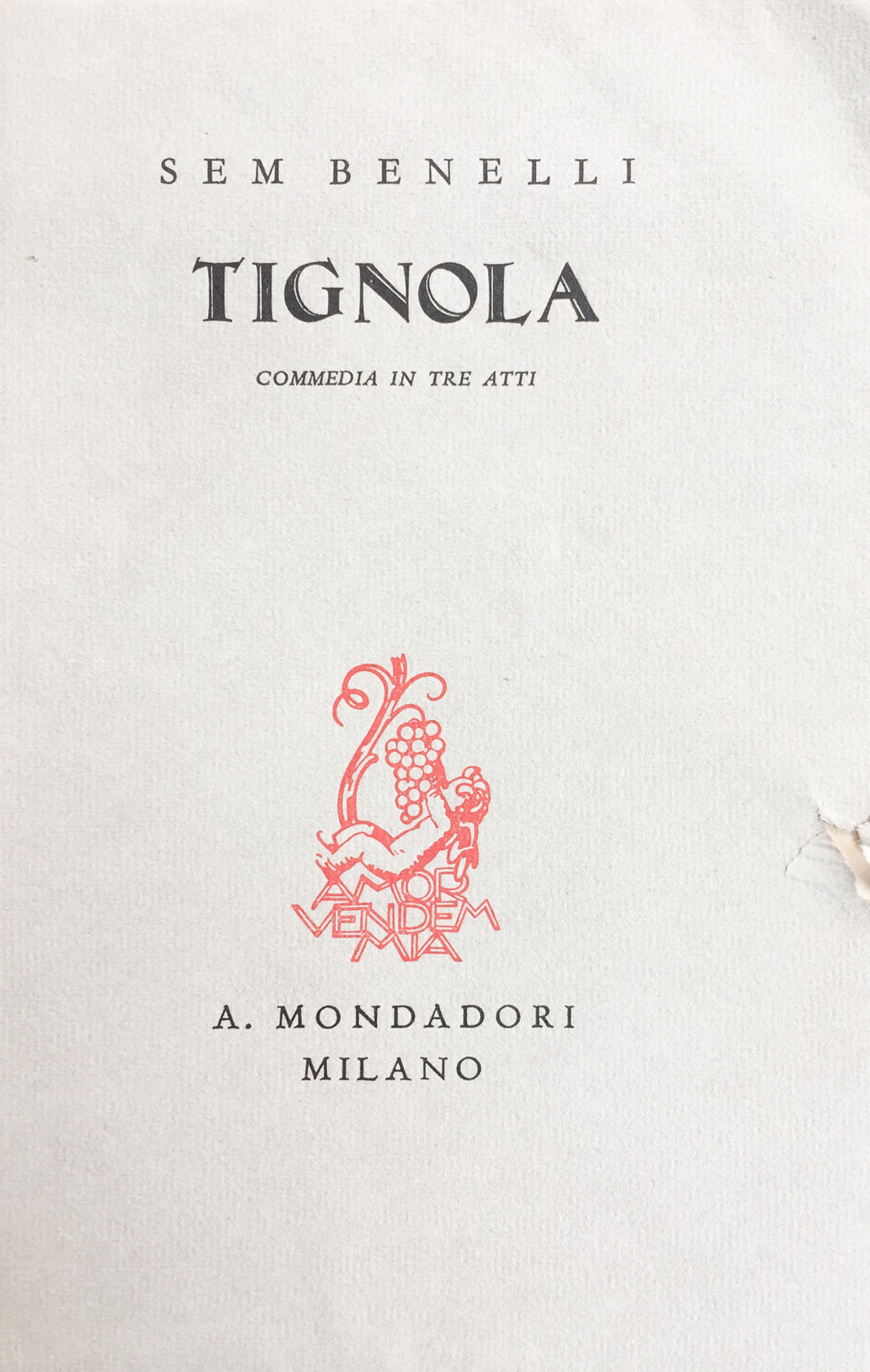 Tignola