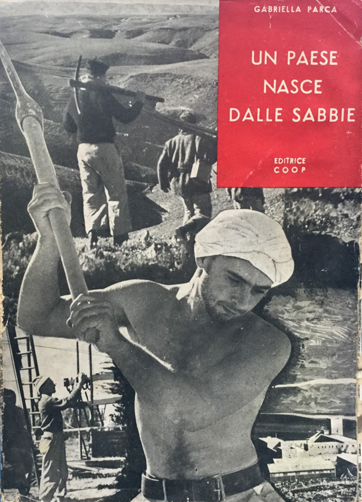 Un pese nasce dalle sabbie. Studio sulla cooperazione in Israele