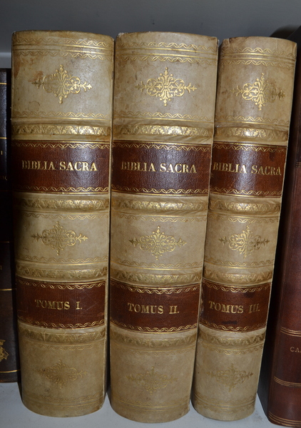 Biblia sacra - vulgatae editionis