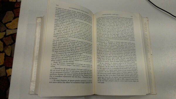 La vita di Studs Lonigan