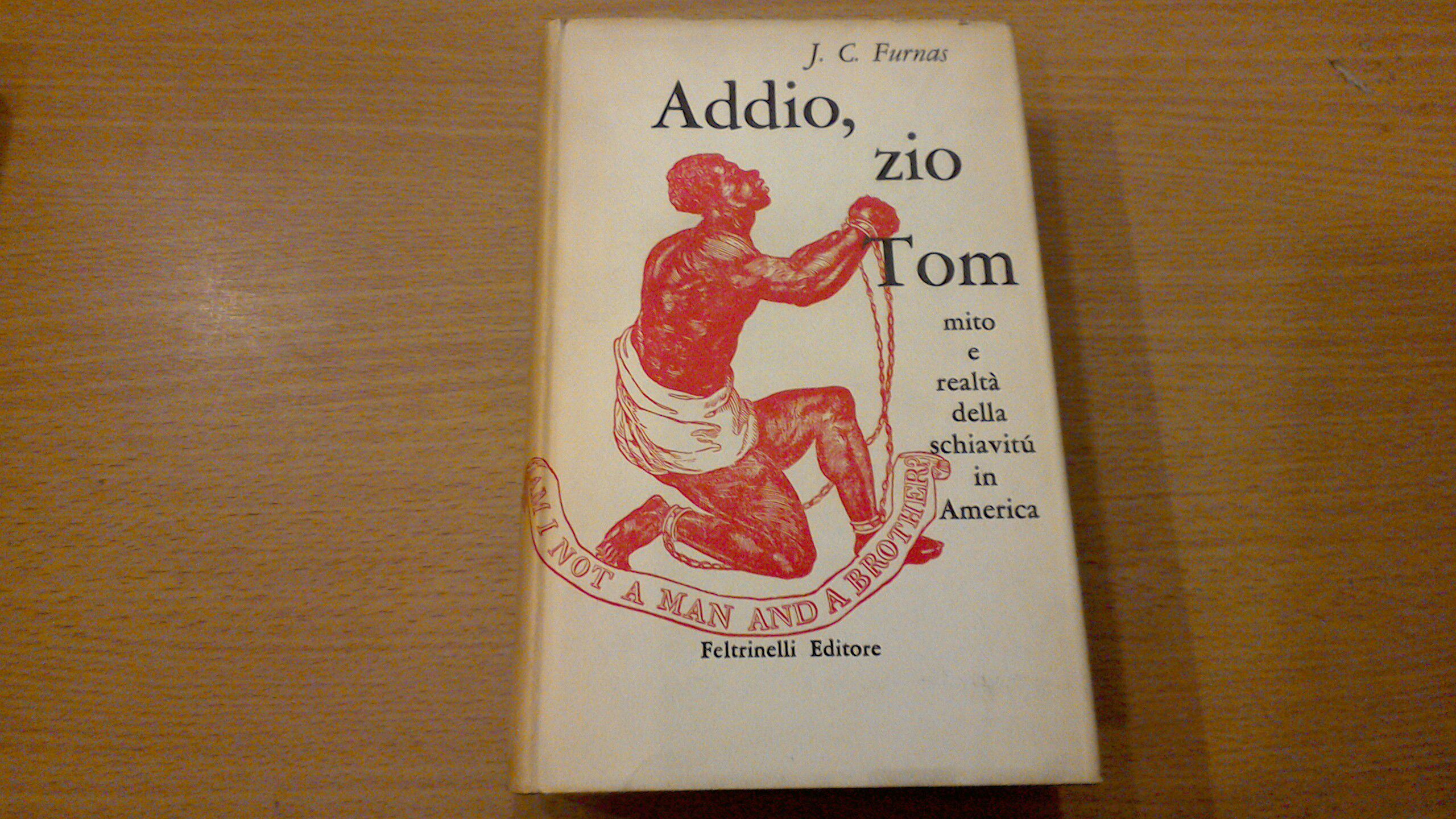 Addio, zio Tom - mito e realtà della schiavitù in …