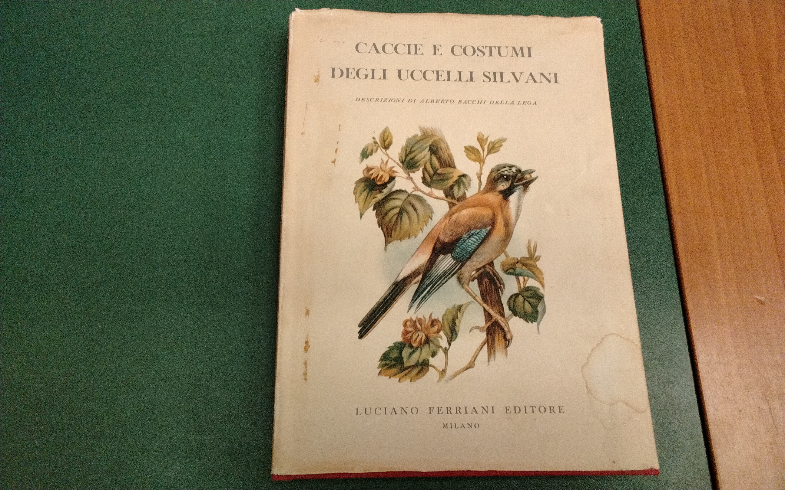 Caccie e costumi degli uccelli silvani