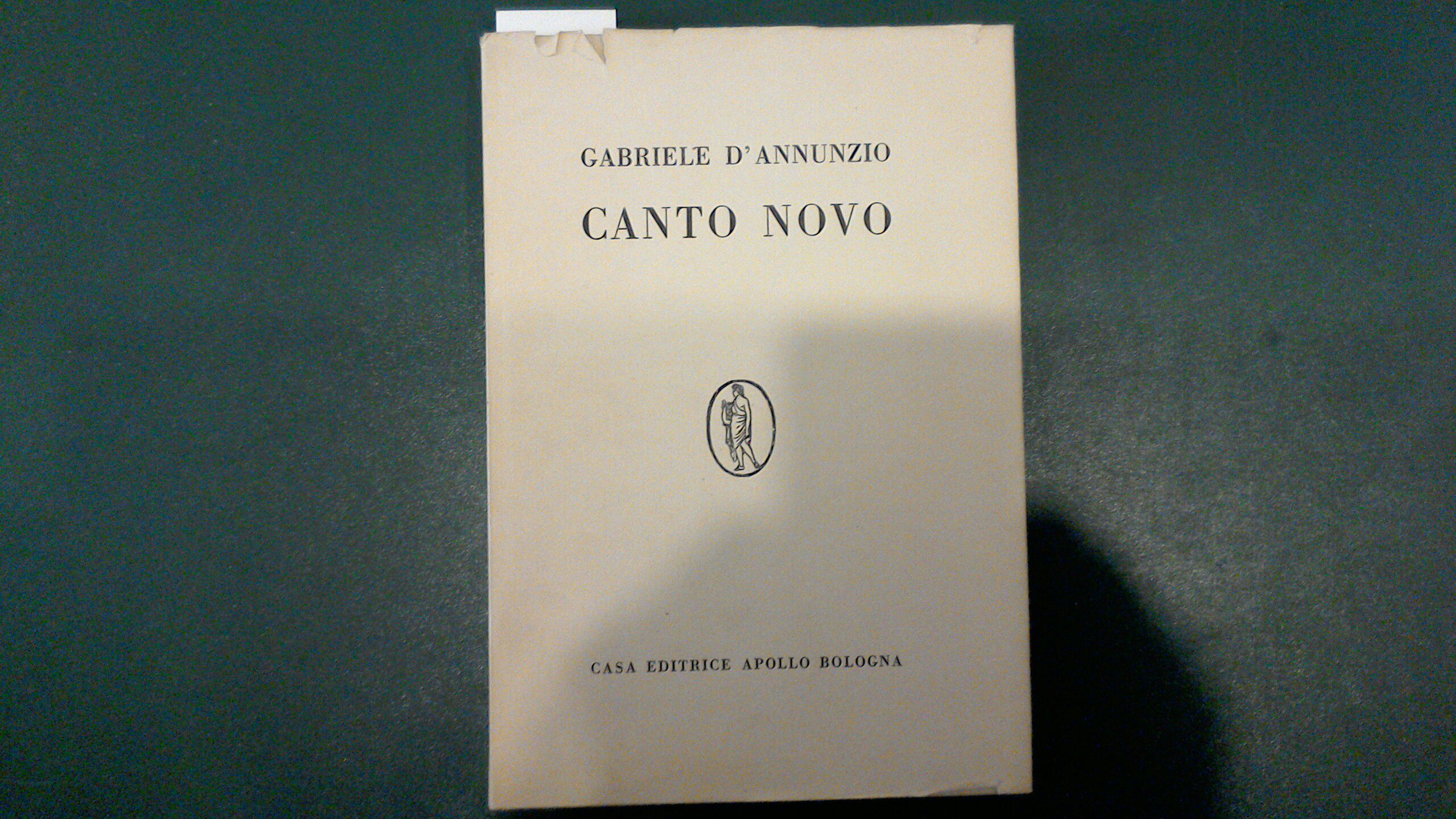Canto novo