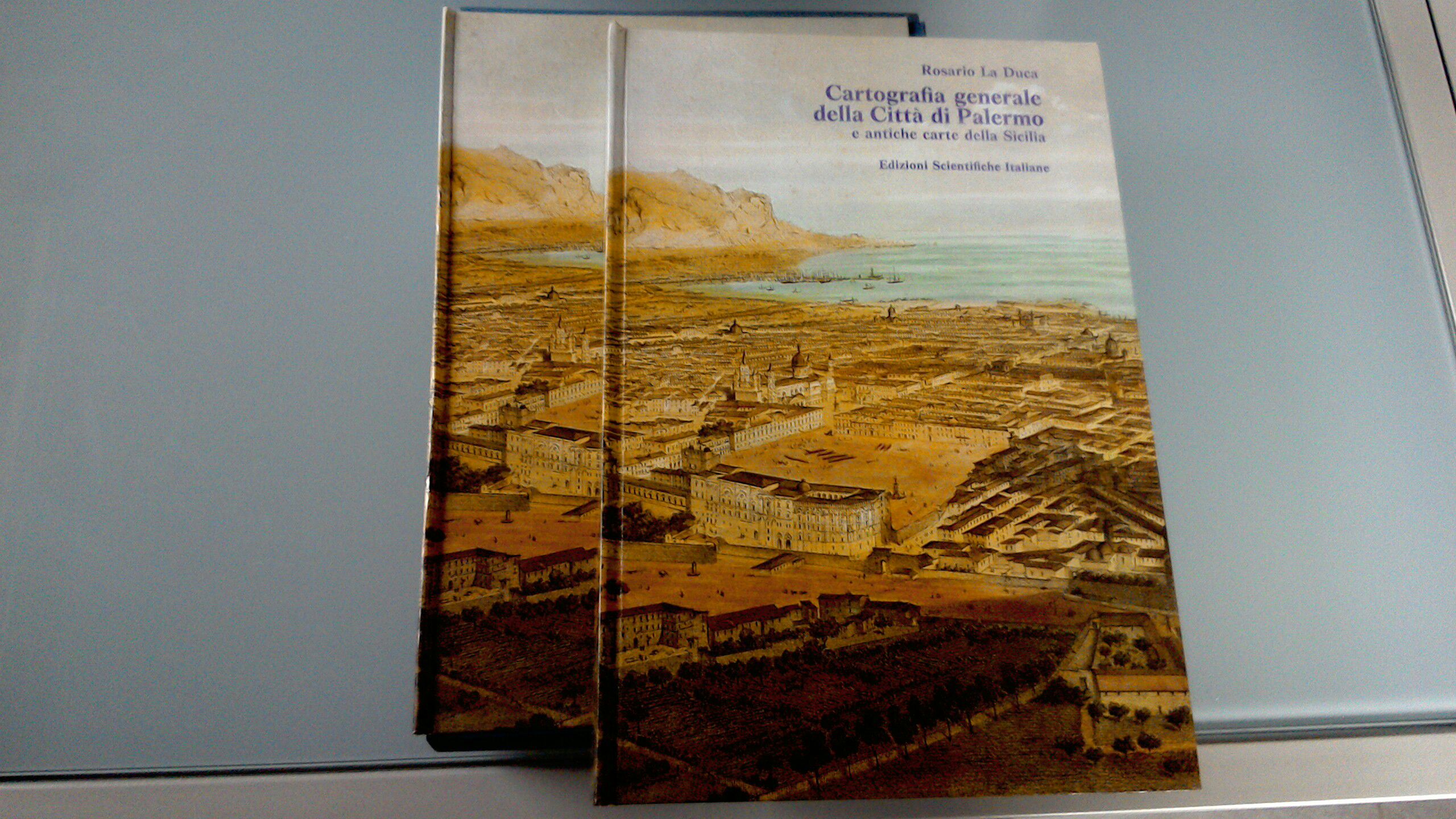 Cartografia generale della città di Palermo e antiche carte della …