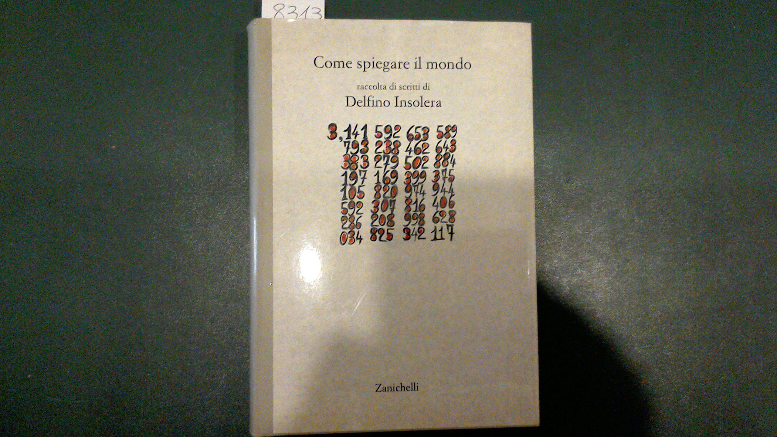 Come spiegare il mondo - raccolta di scritti di Delfino …