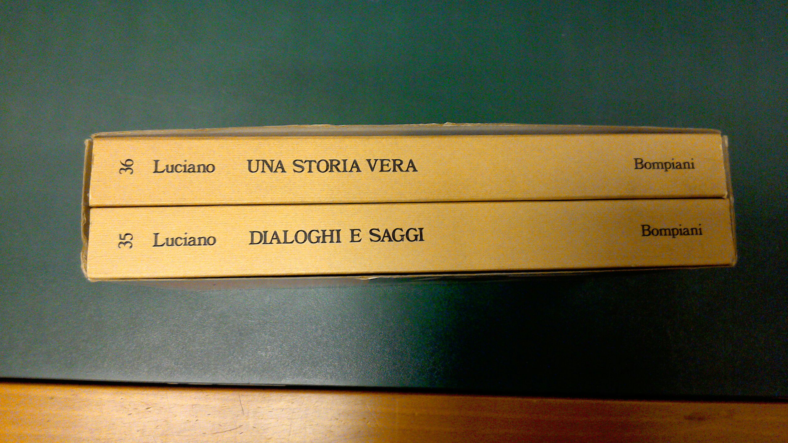 Dialoghi e saggi - Una storia vera