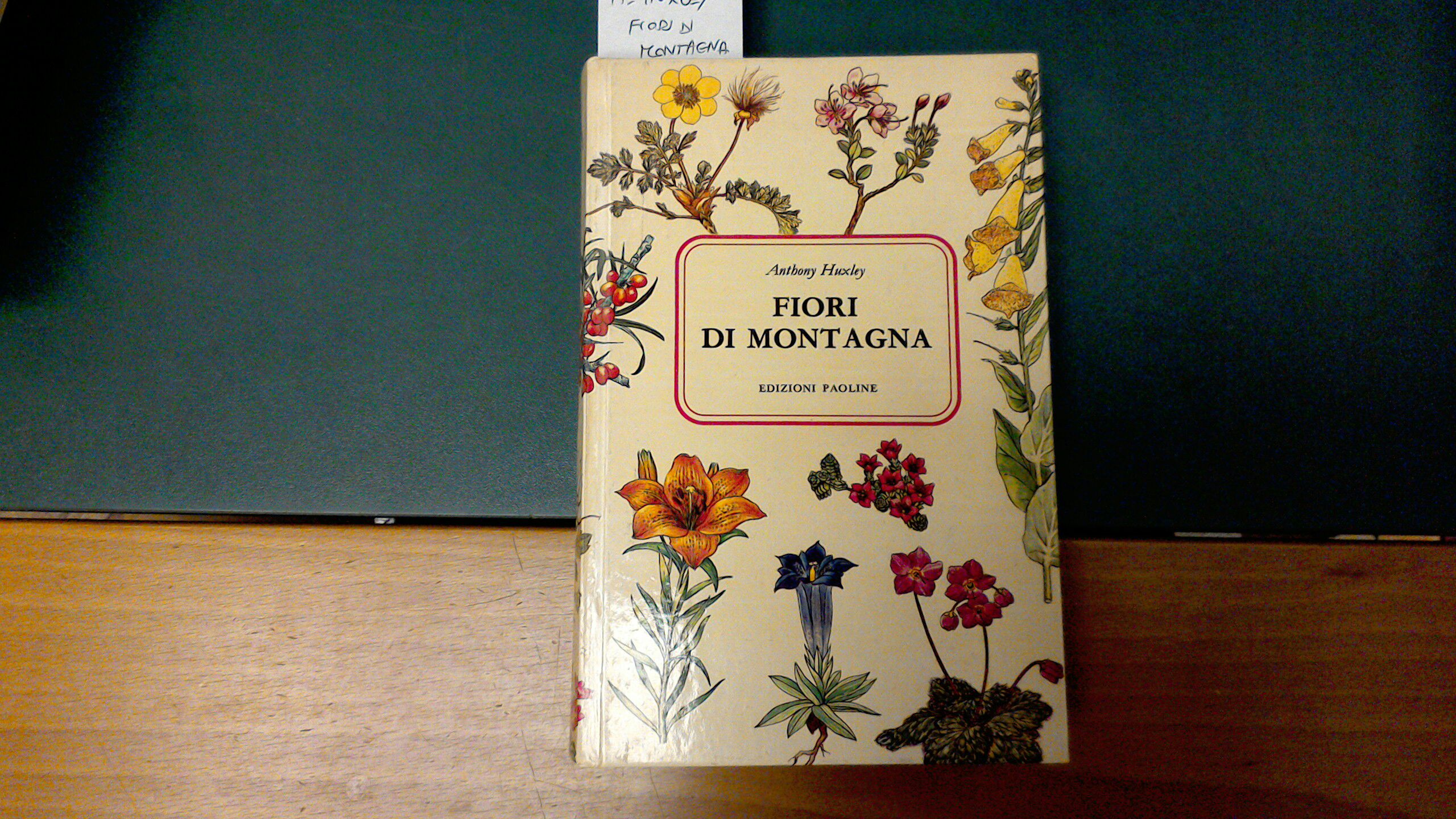 Fiori di montagna