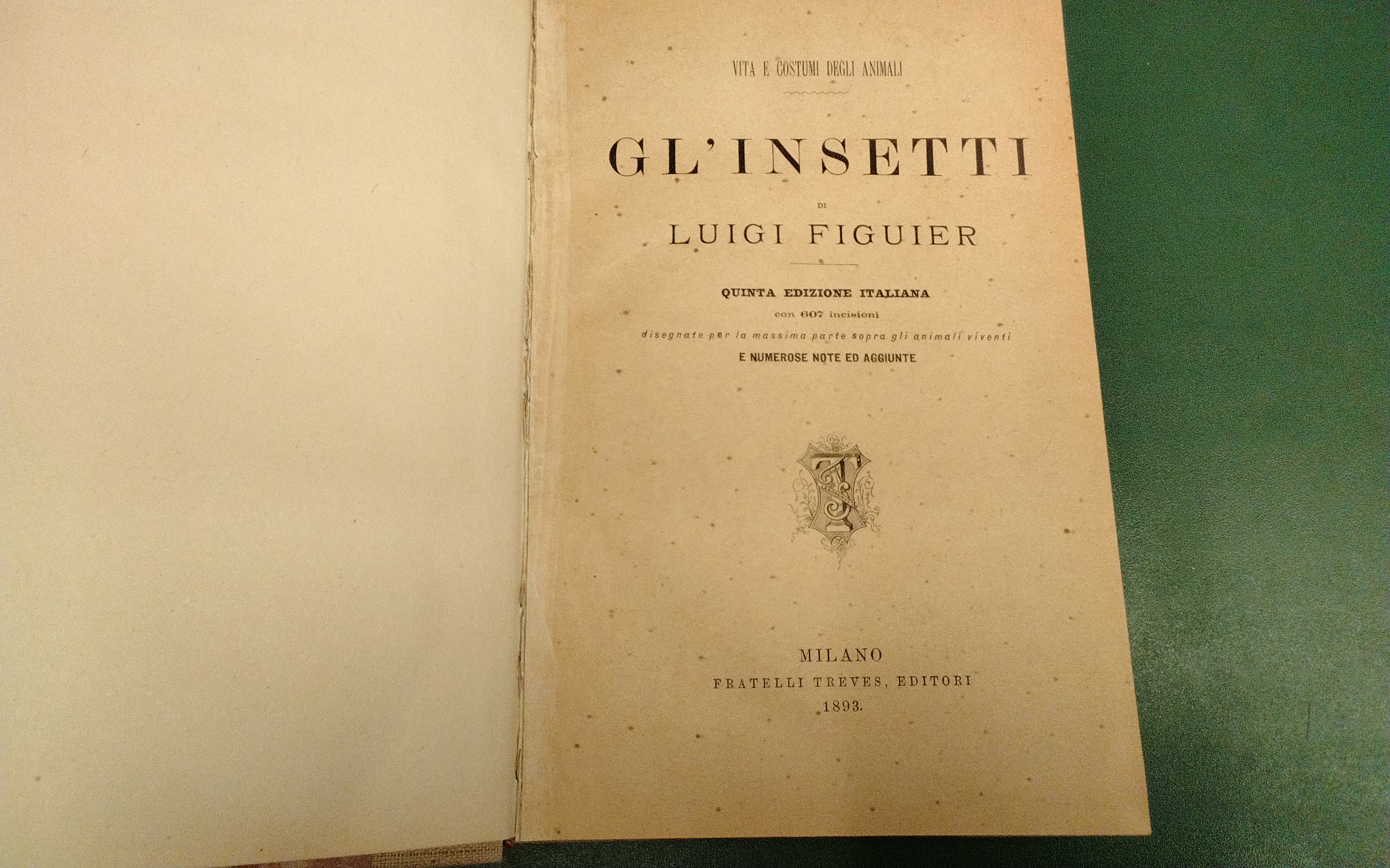 Gl'insetti - quinta edizione italiana