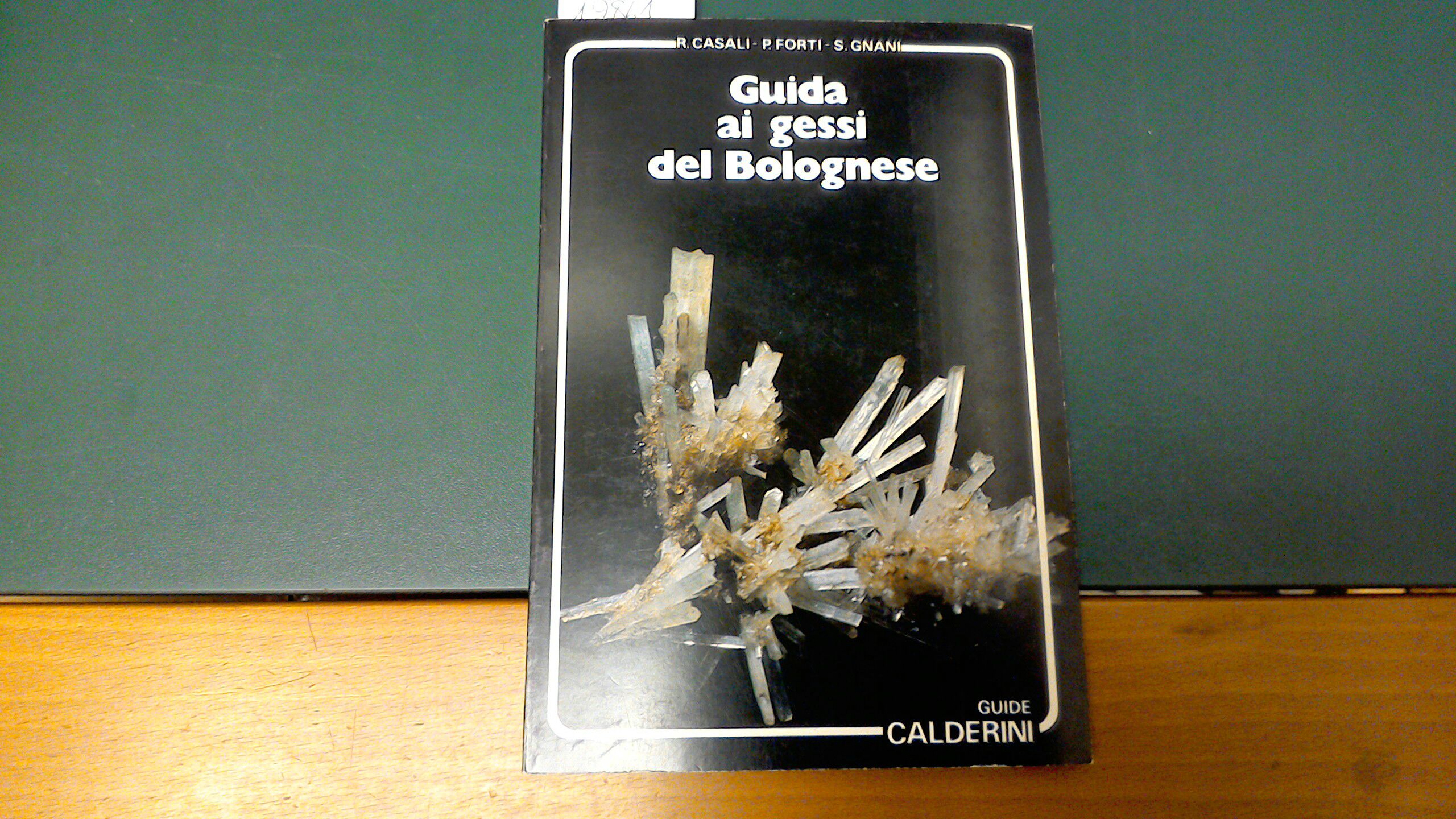 Guida ai gessi del bolognese