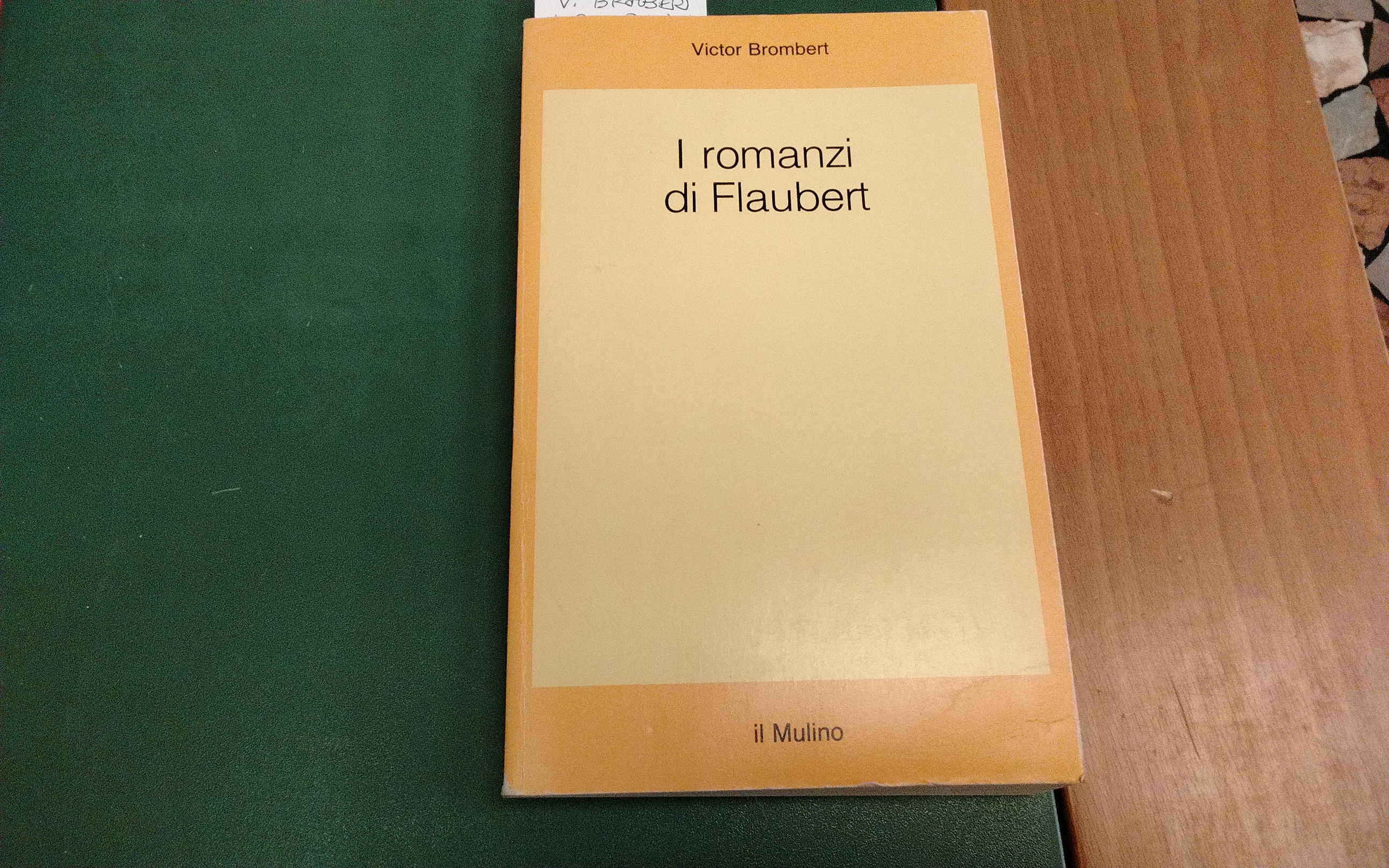 I romanzi di Flaubert