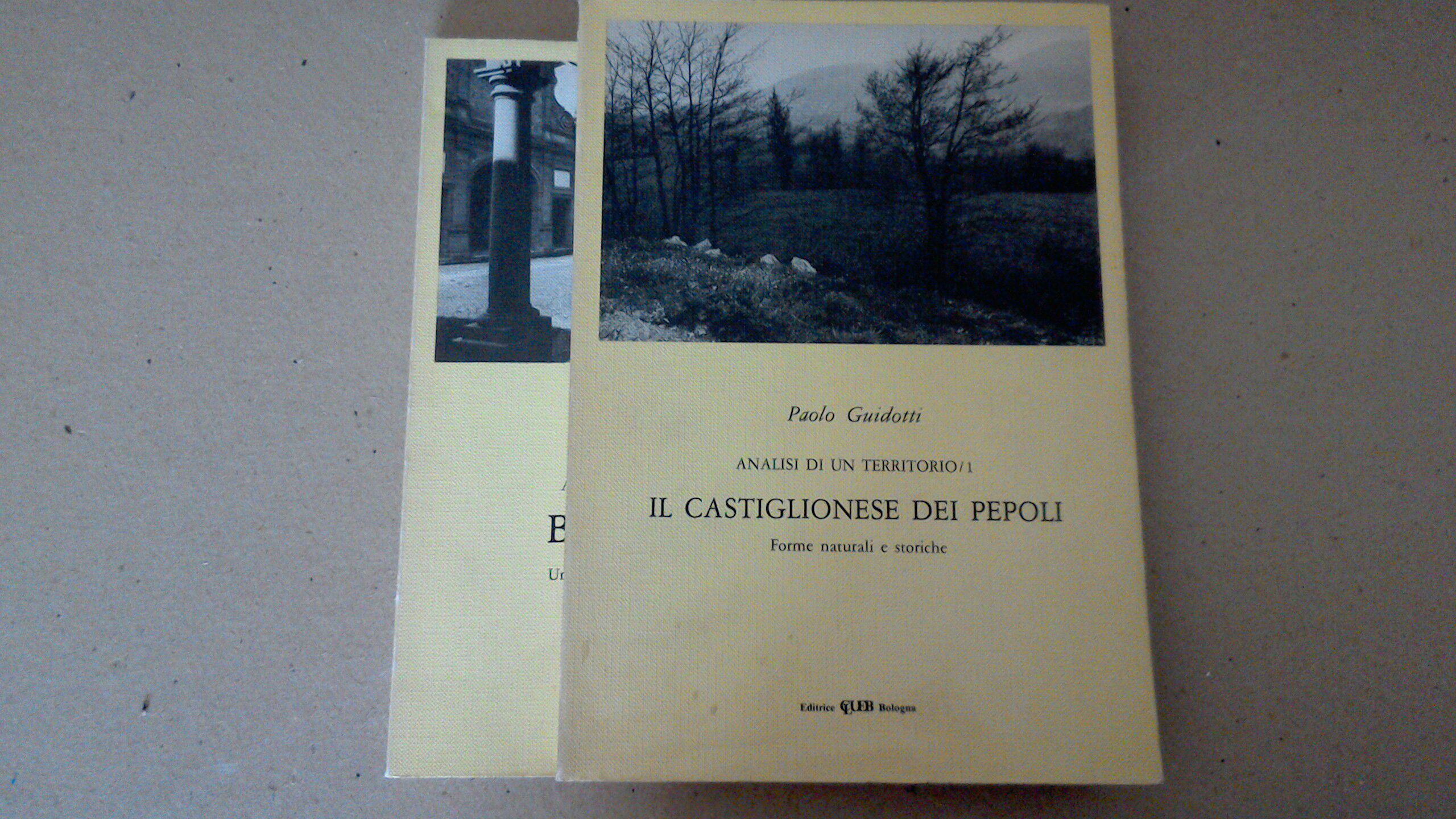 Il Castiglionese dei Pepoli - Boccadirio ( 2 volumi )