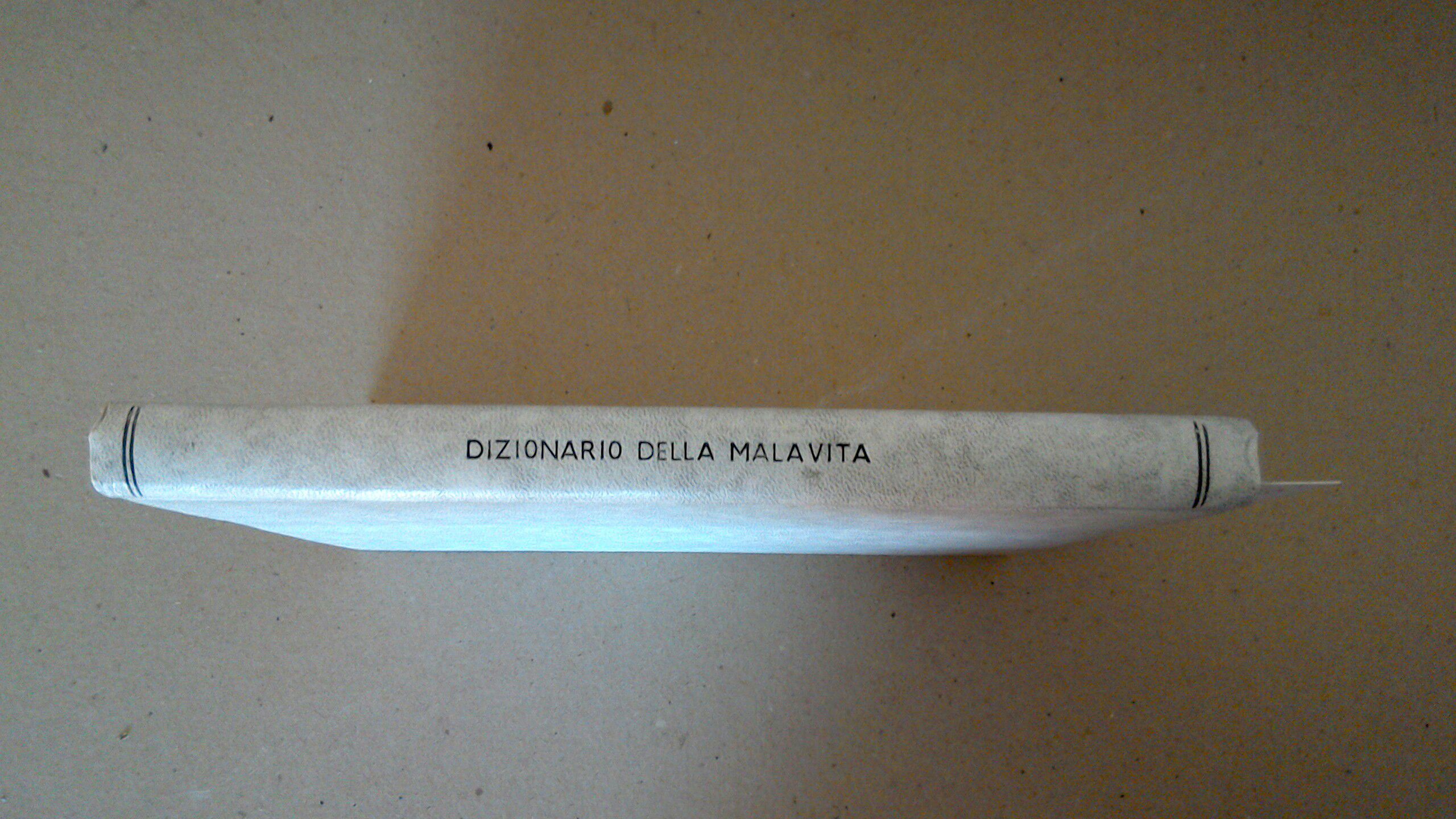 Il delatore - Dizionario del gergo della malavita italiana
