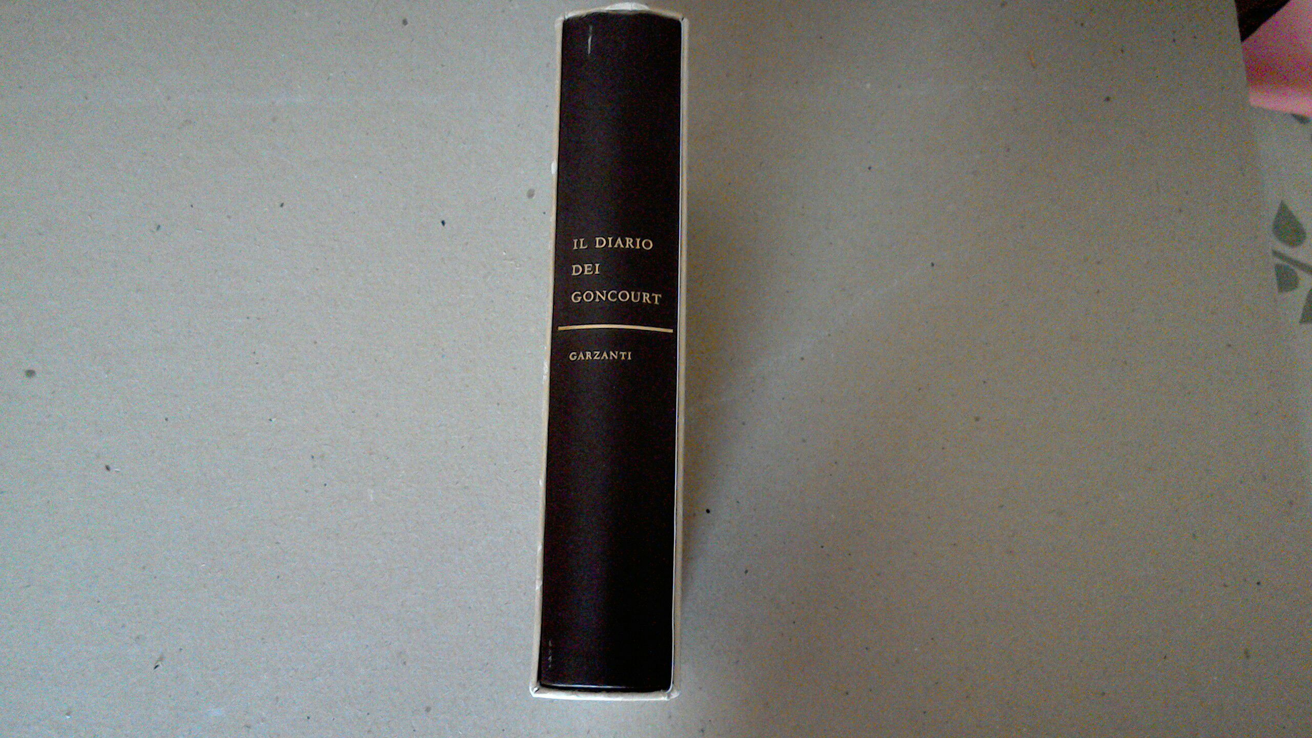 Il diario - memorie di vita letteraria 1851-1896