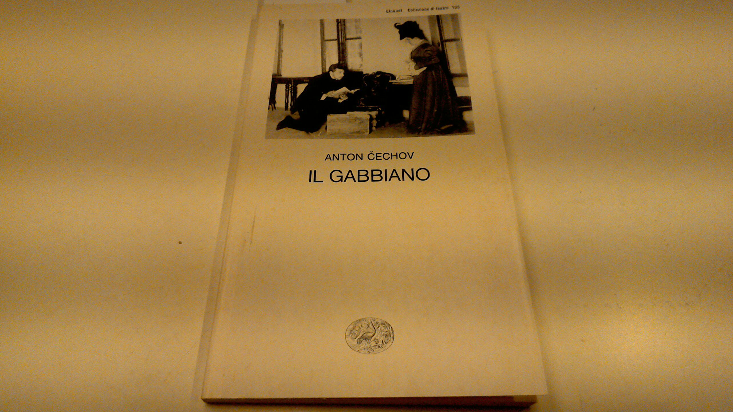 Il gabbiano