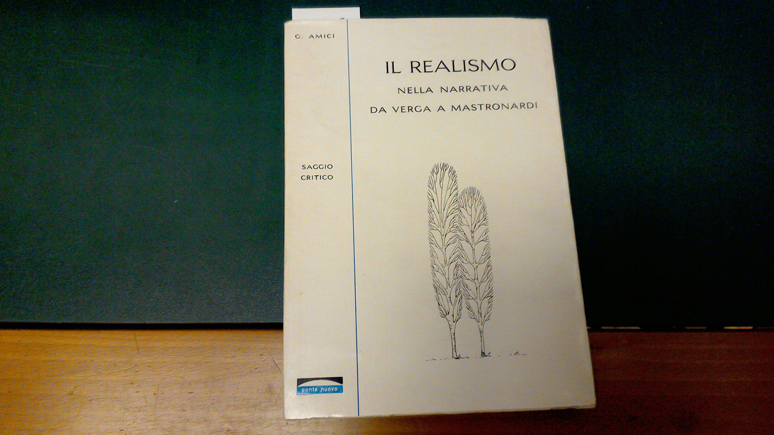 Il realismo nella narrativa da Verga a Mastronardi