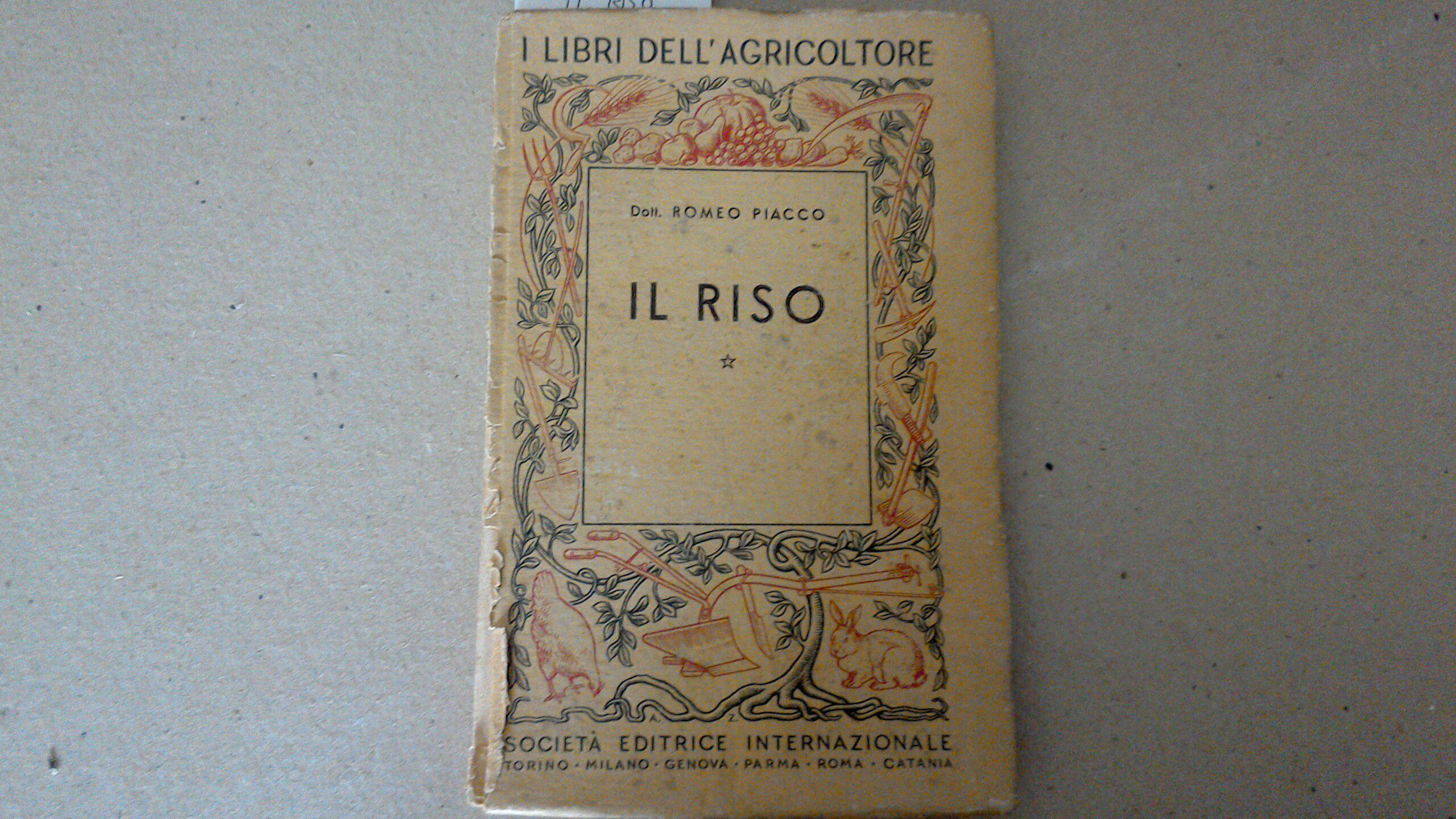 Il riso