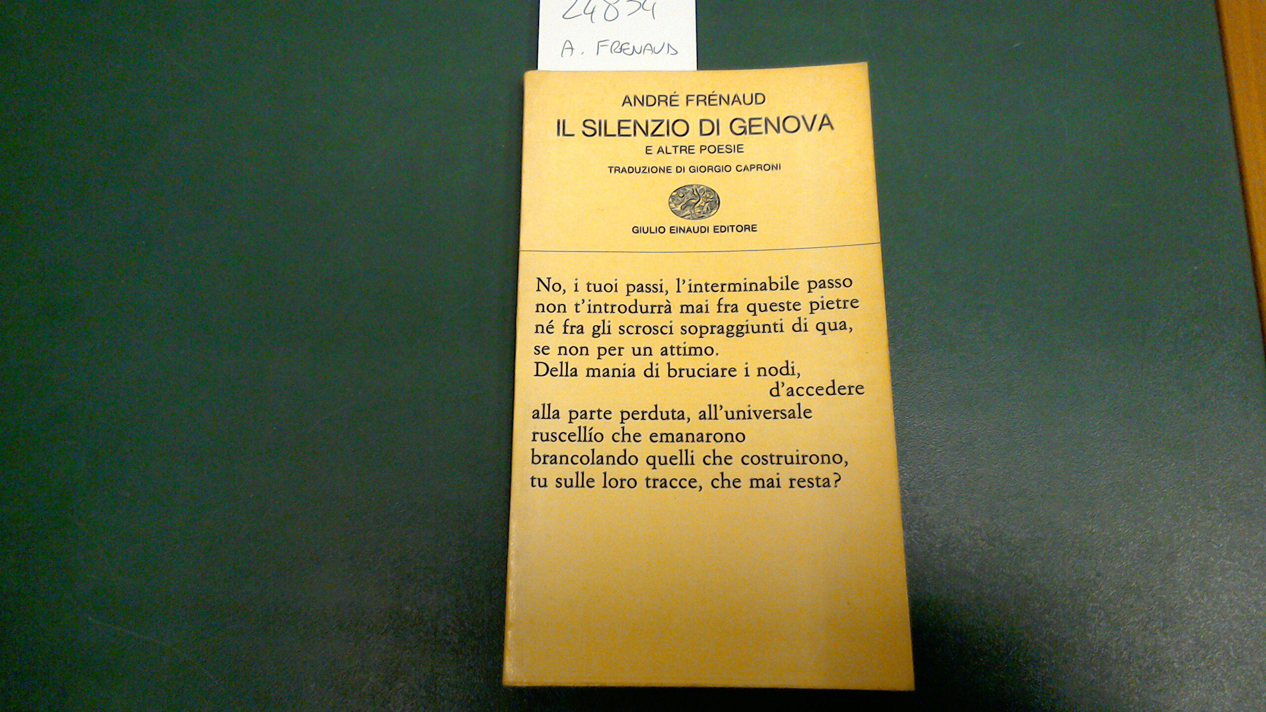 Il silenzio di Genova e altre poesie