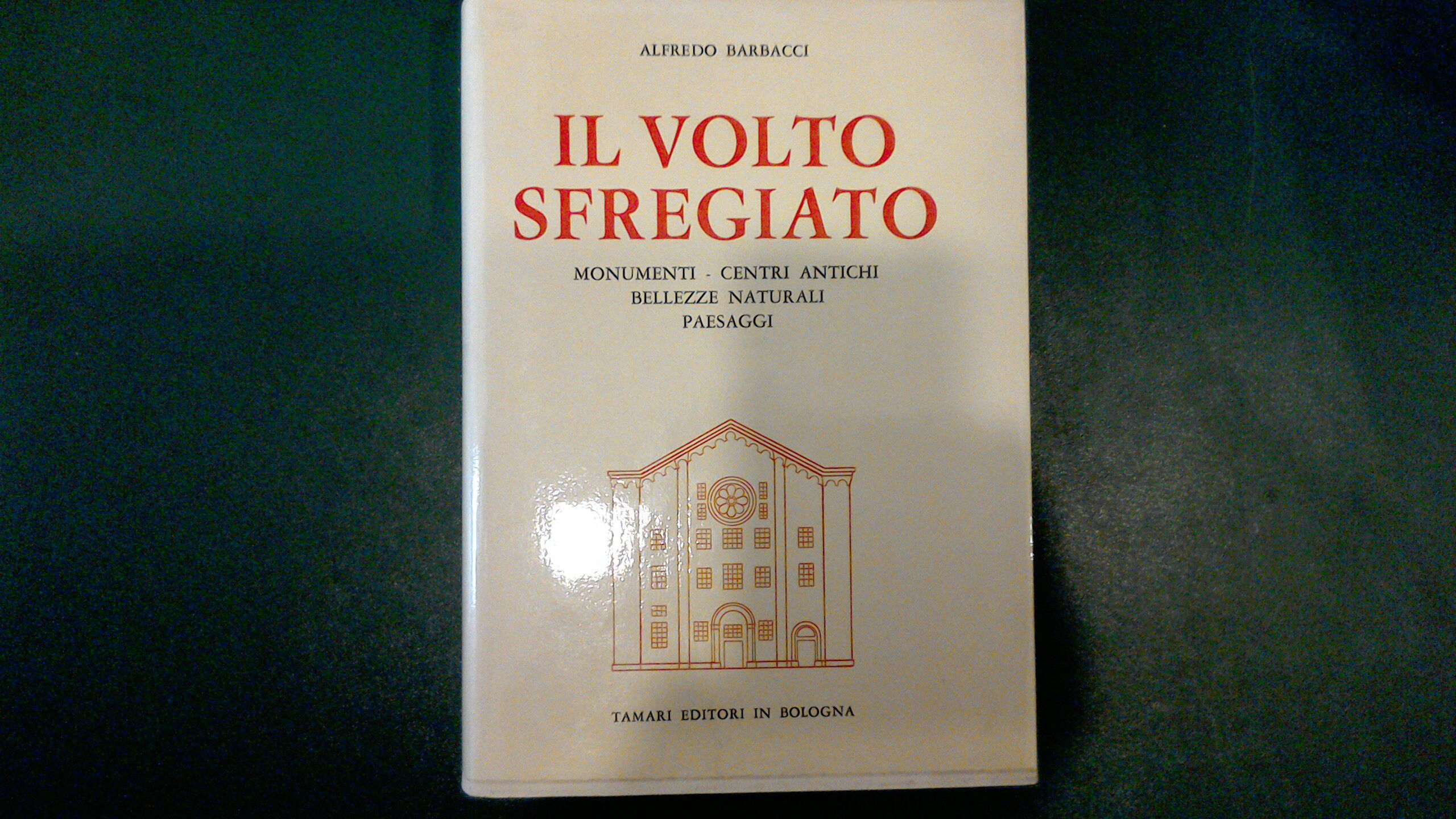 Il volto sfregiato