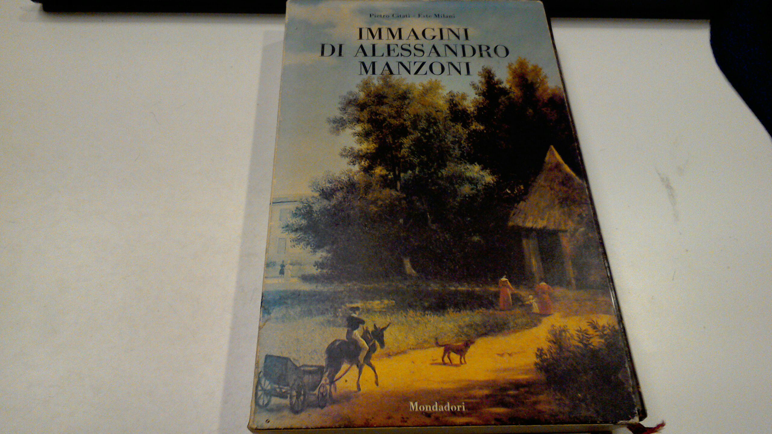 Immagini di Alessandro Manzoni