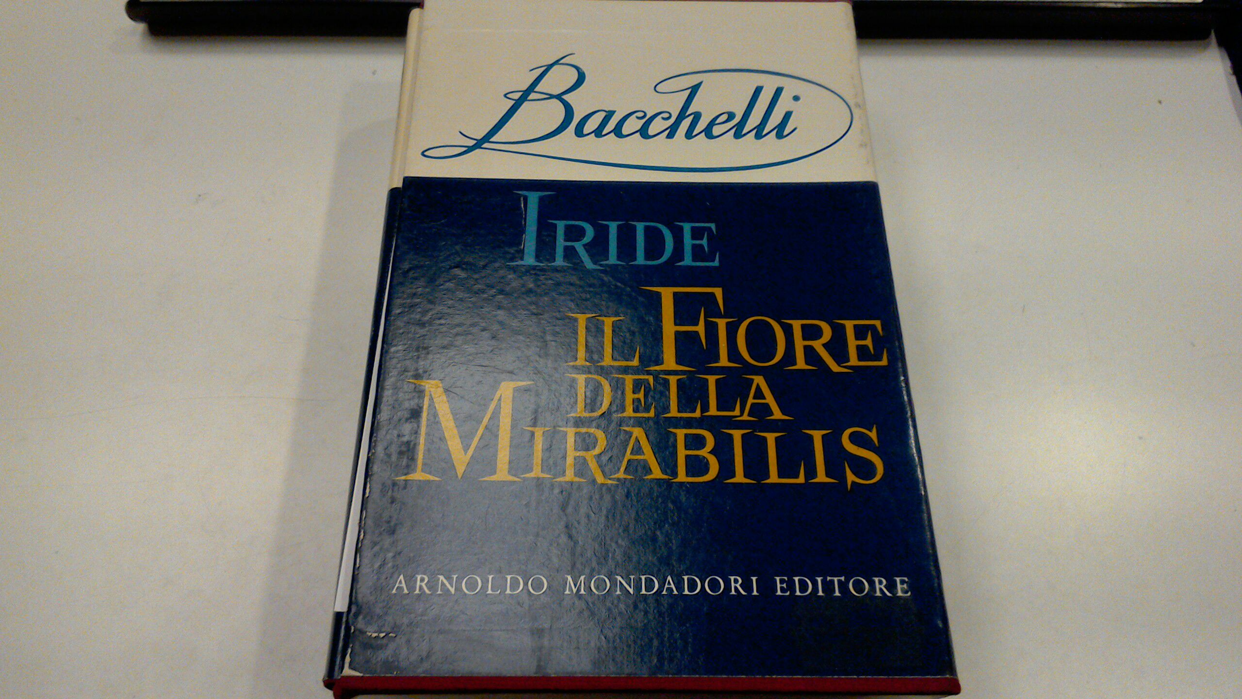 Iride - il fiore della Mirabilis