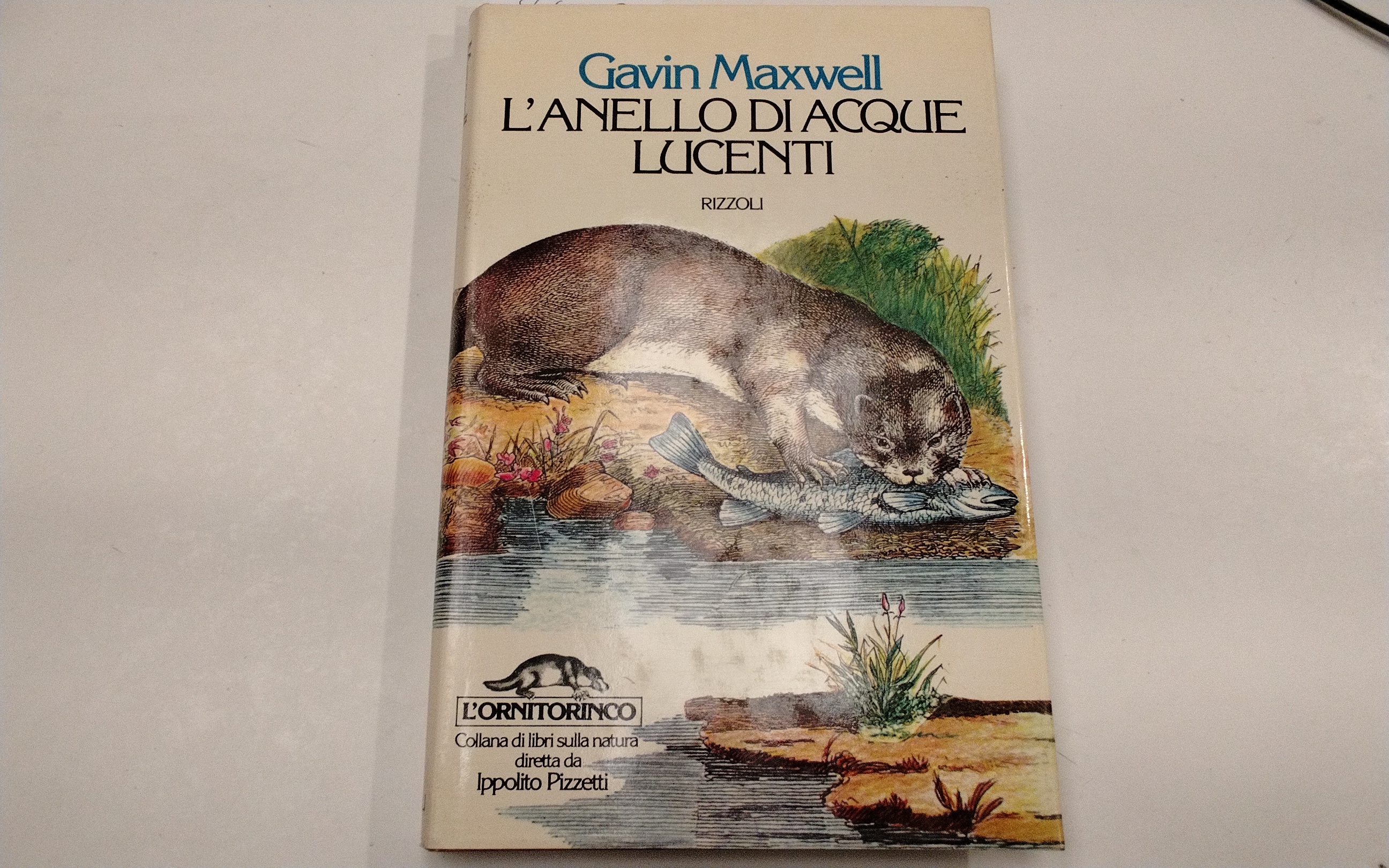 L'anello di acque lucenti