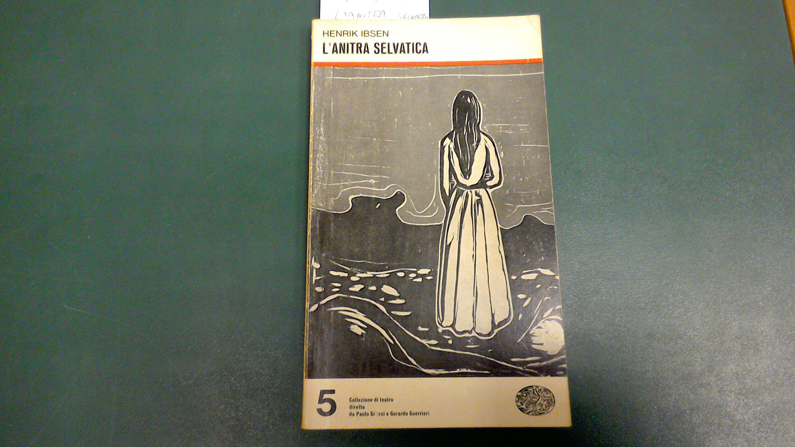 L'anitra selvatica
