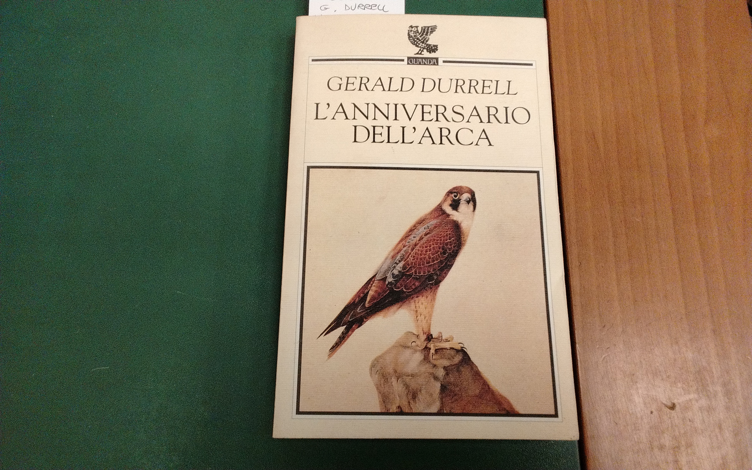 L'anniversario dell'arca