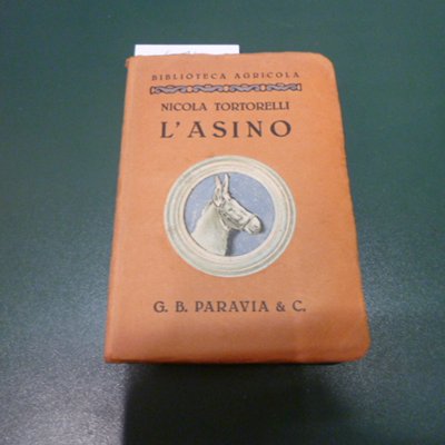 L'asino