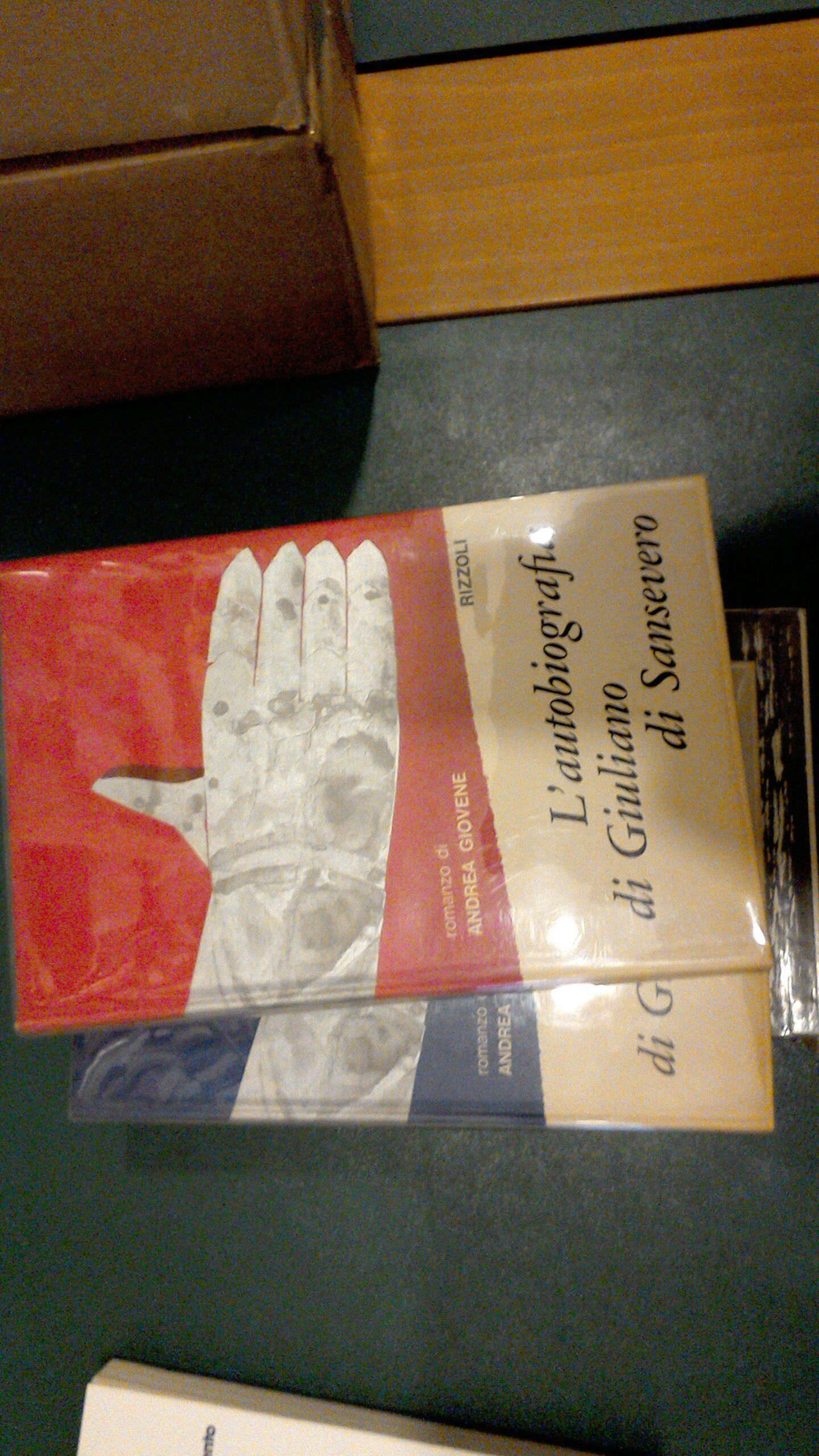 L'autobiografia di Giuliano di Sansevero ( volumi 1 e 2 …