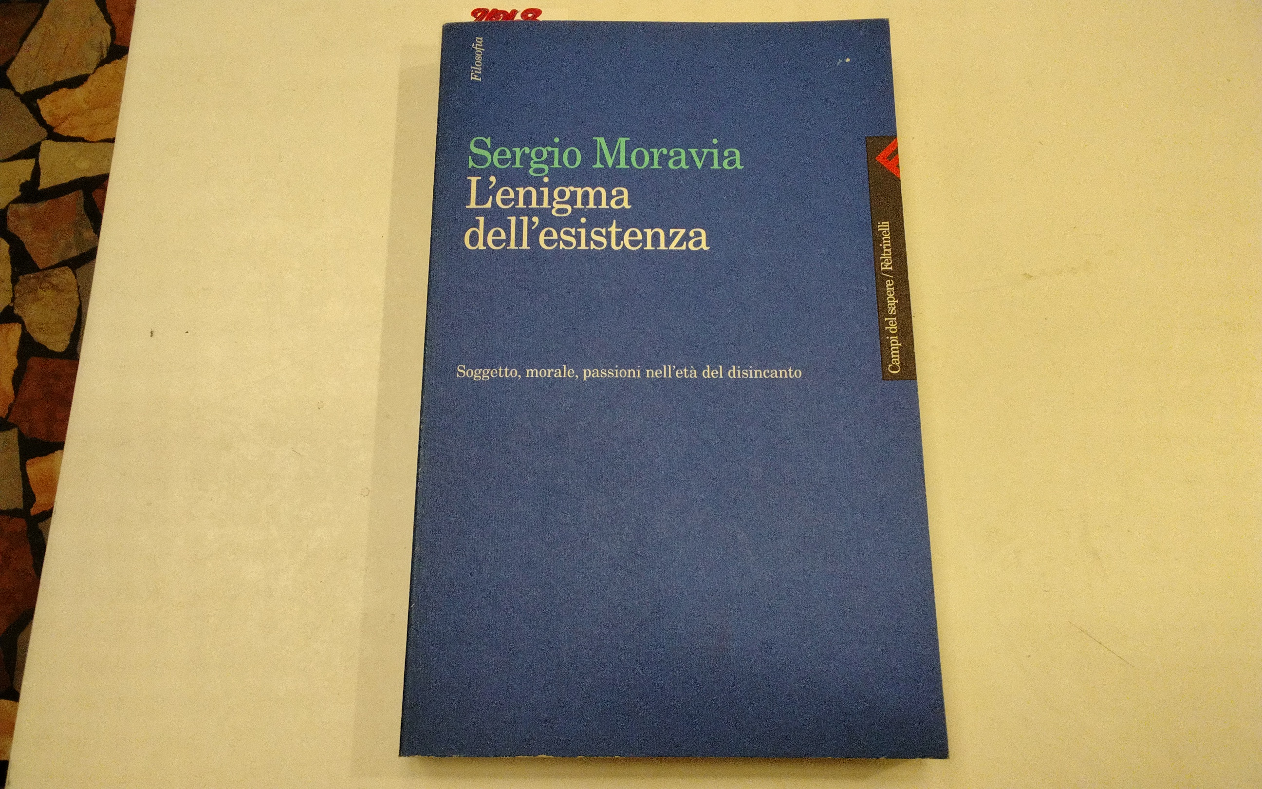 L'enigma dell'esistenza - soggetto, morale, passioni nell'età del disincanto