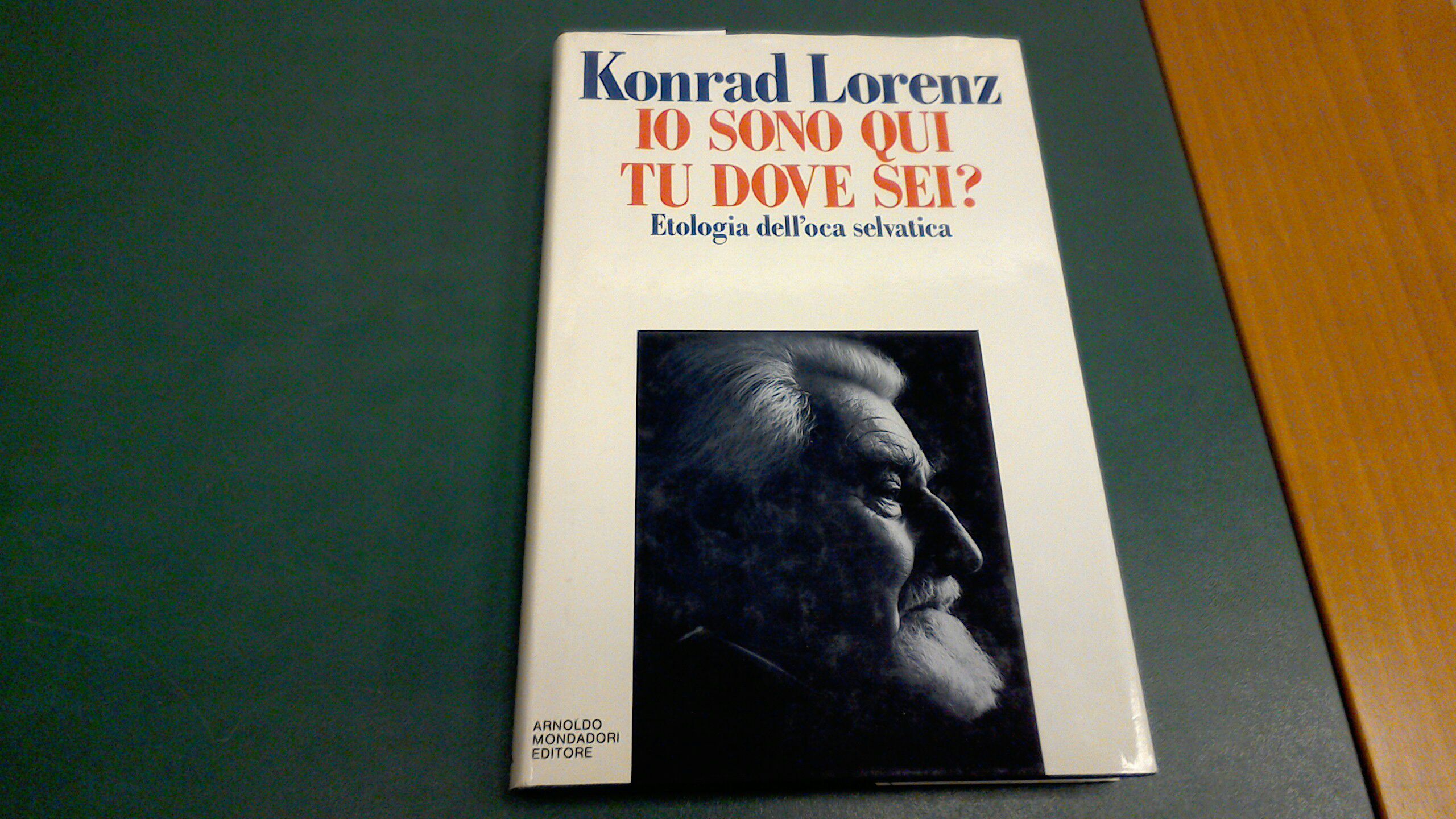 L'Io sono qui, tu dove sei? Etologia dell'oca selvatica