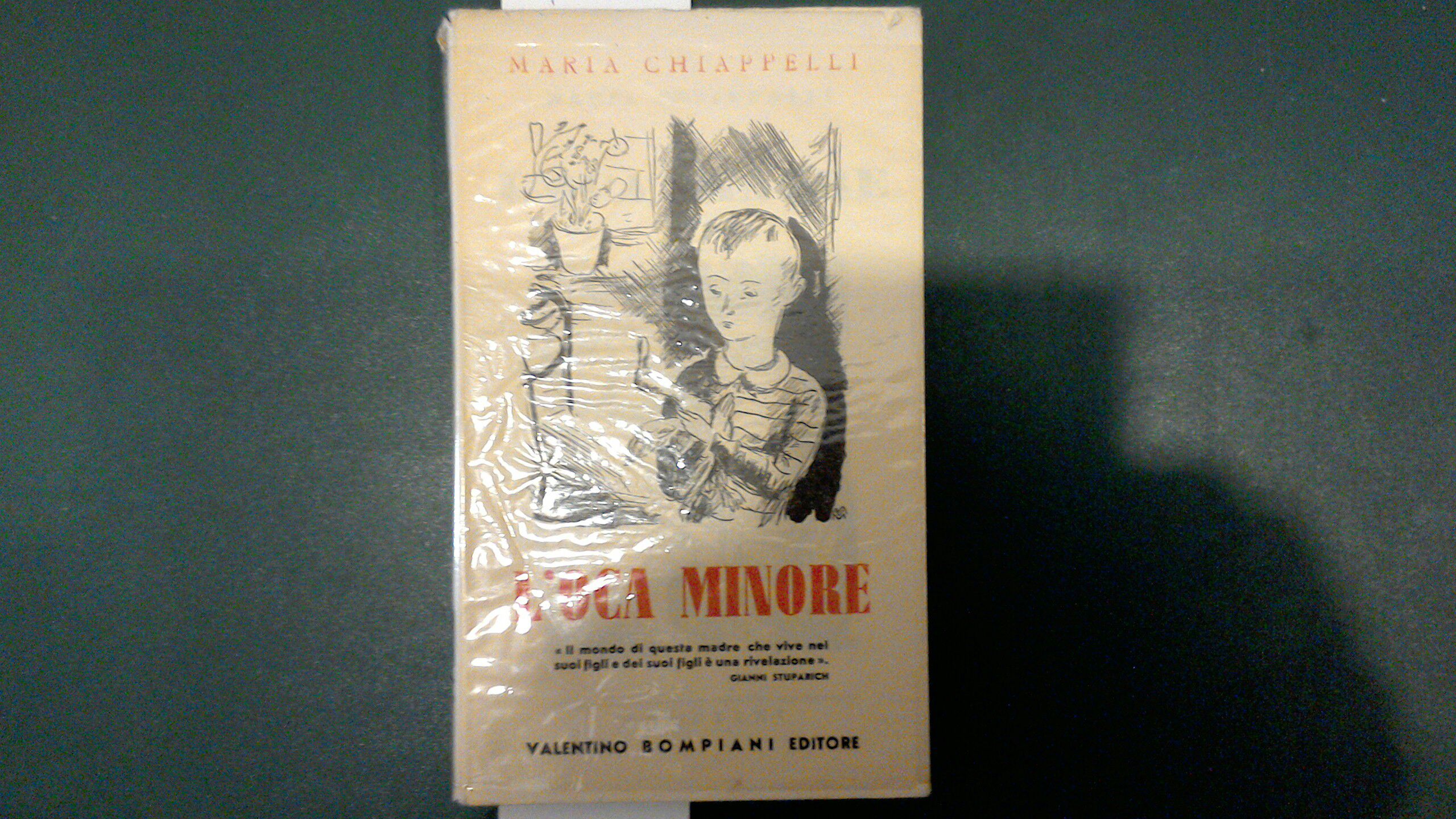 L'oca minore