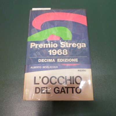 L'occhio del gatto