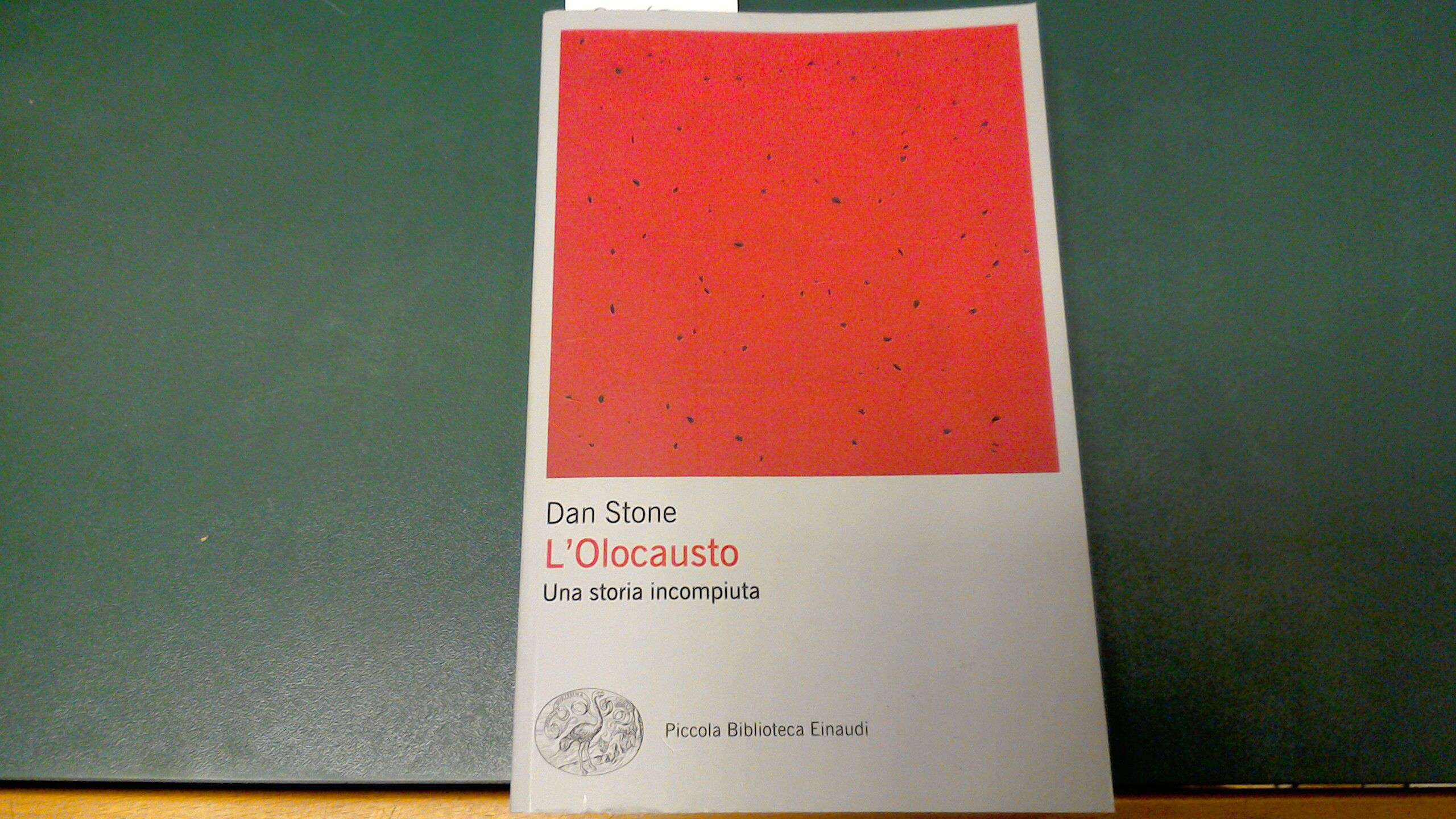 L'Olocausto - una storia incompiuta