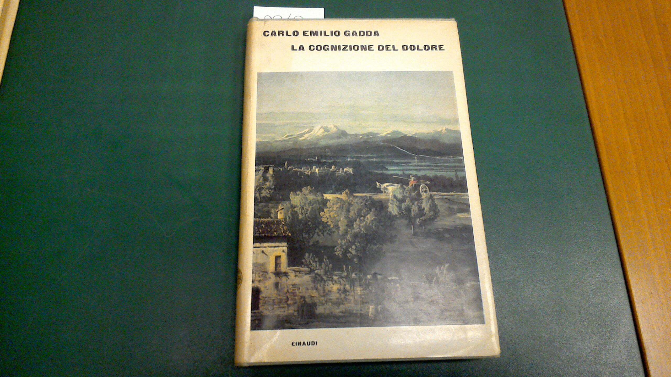 La cognizione del dolore