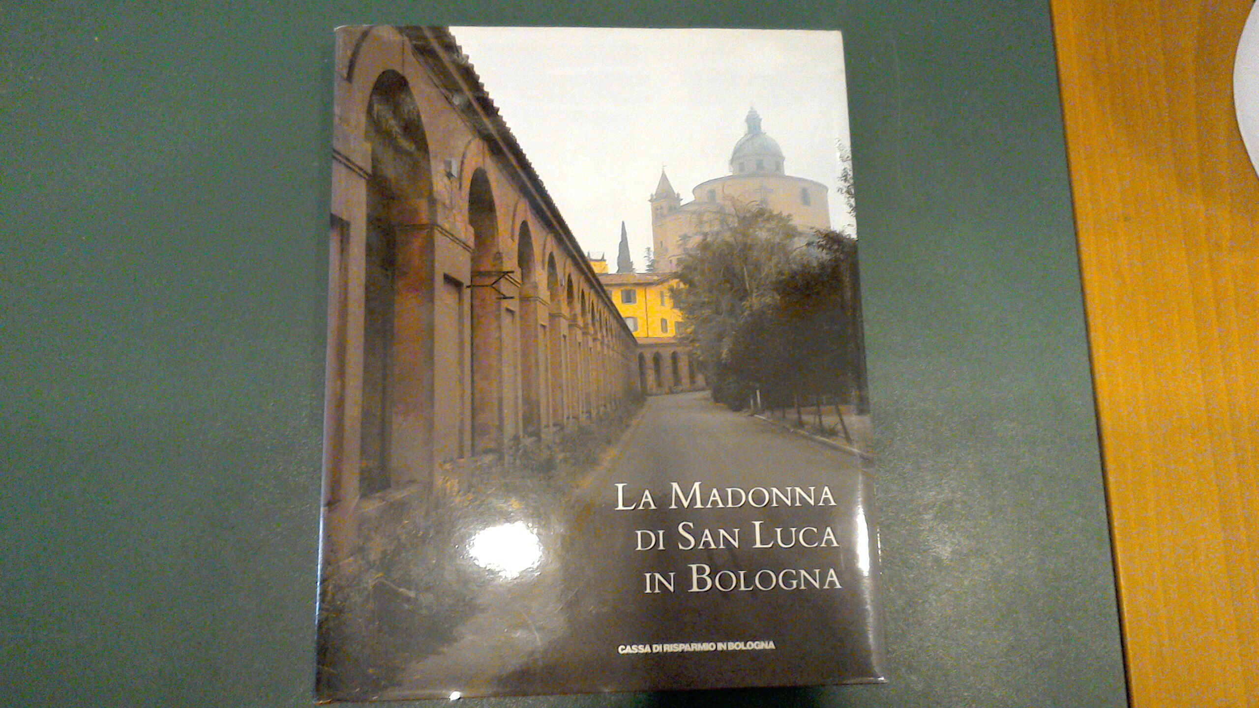 La Madonna di San Luca in Bologna