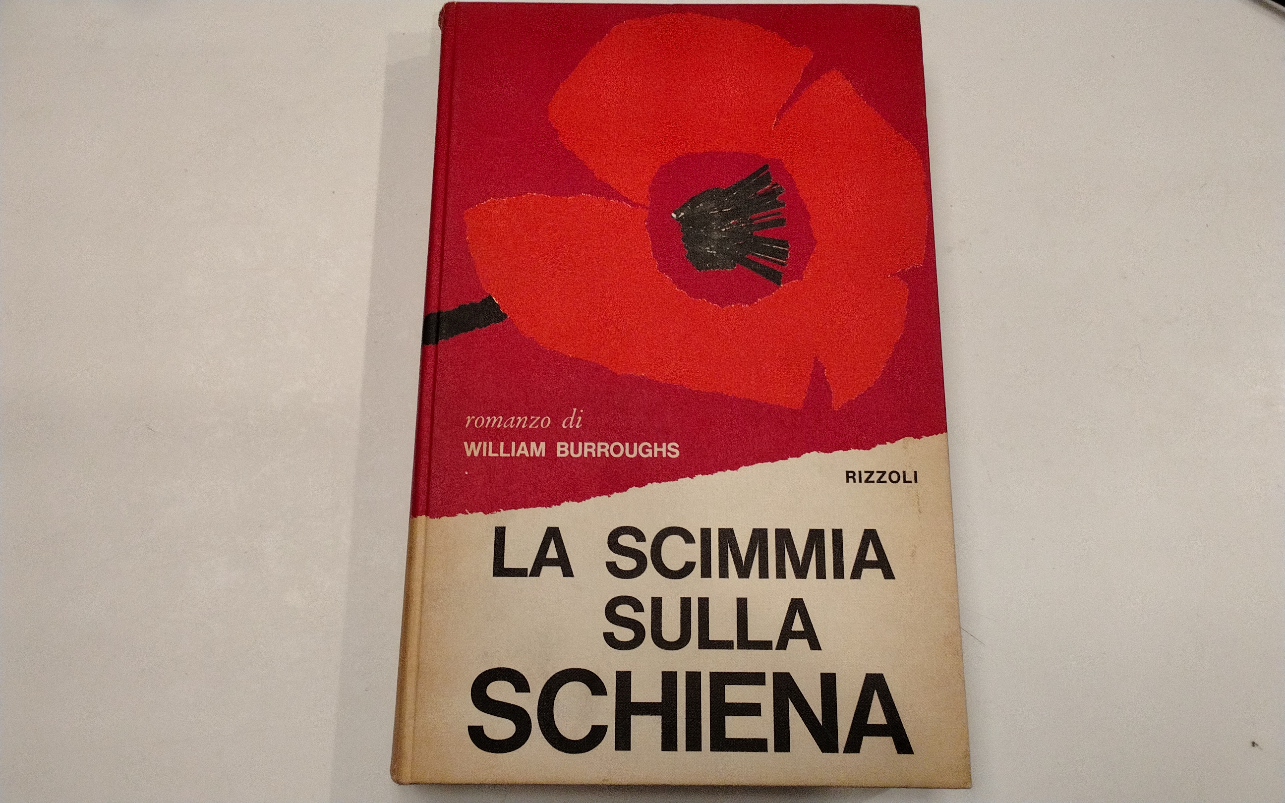 La scimmia sulla schiena