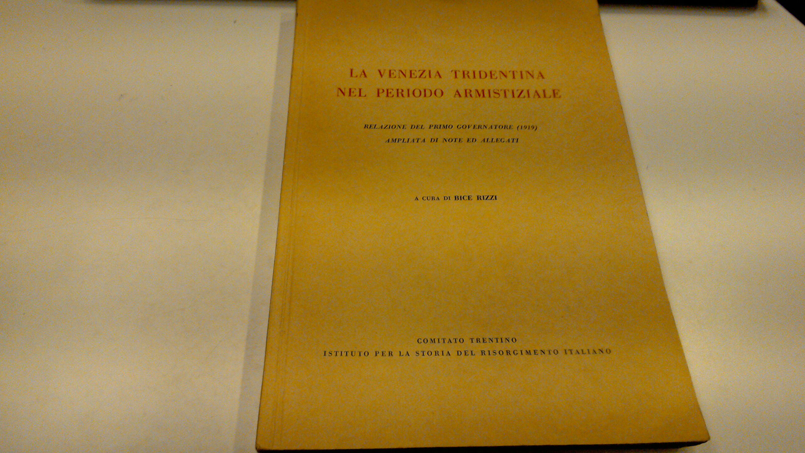 La Venezia tridentina nel periodo armistiziale