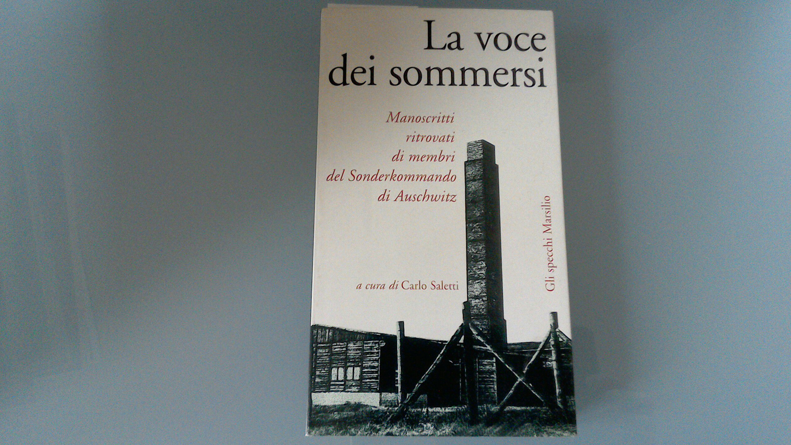 La voce dei sommersi