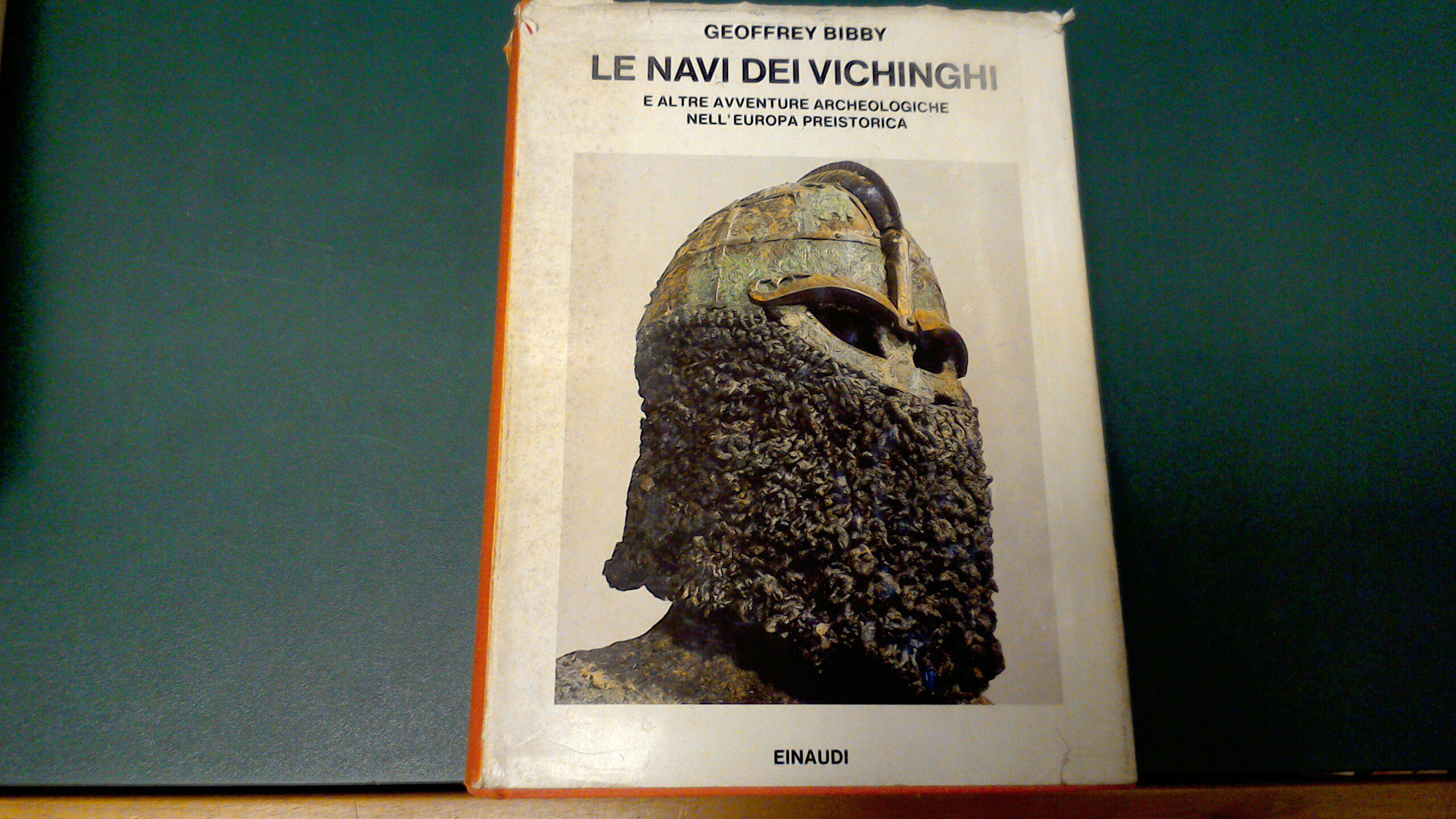 Le navi dei vichinghi e altre avventure archeologiche nell'Europa preistorica