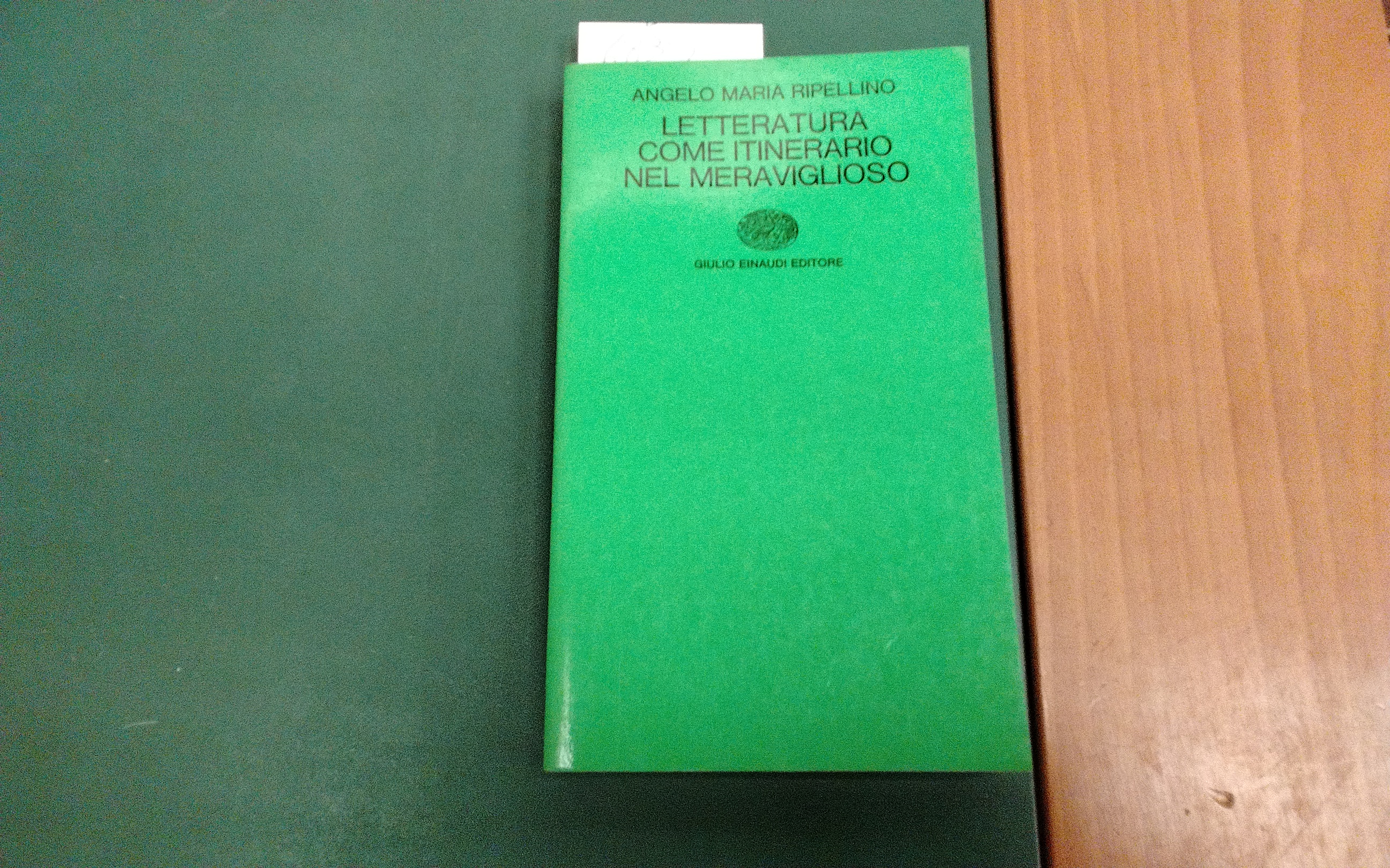 Letteratura come itinerario nel meraviglioso