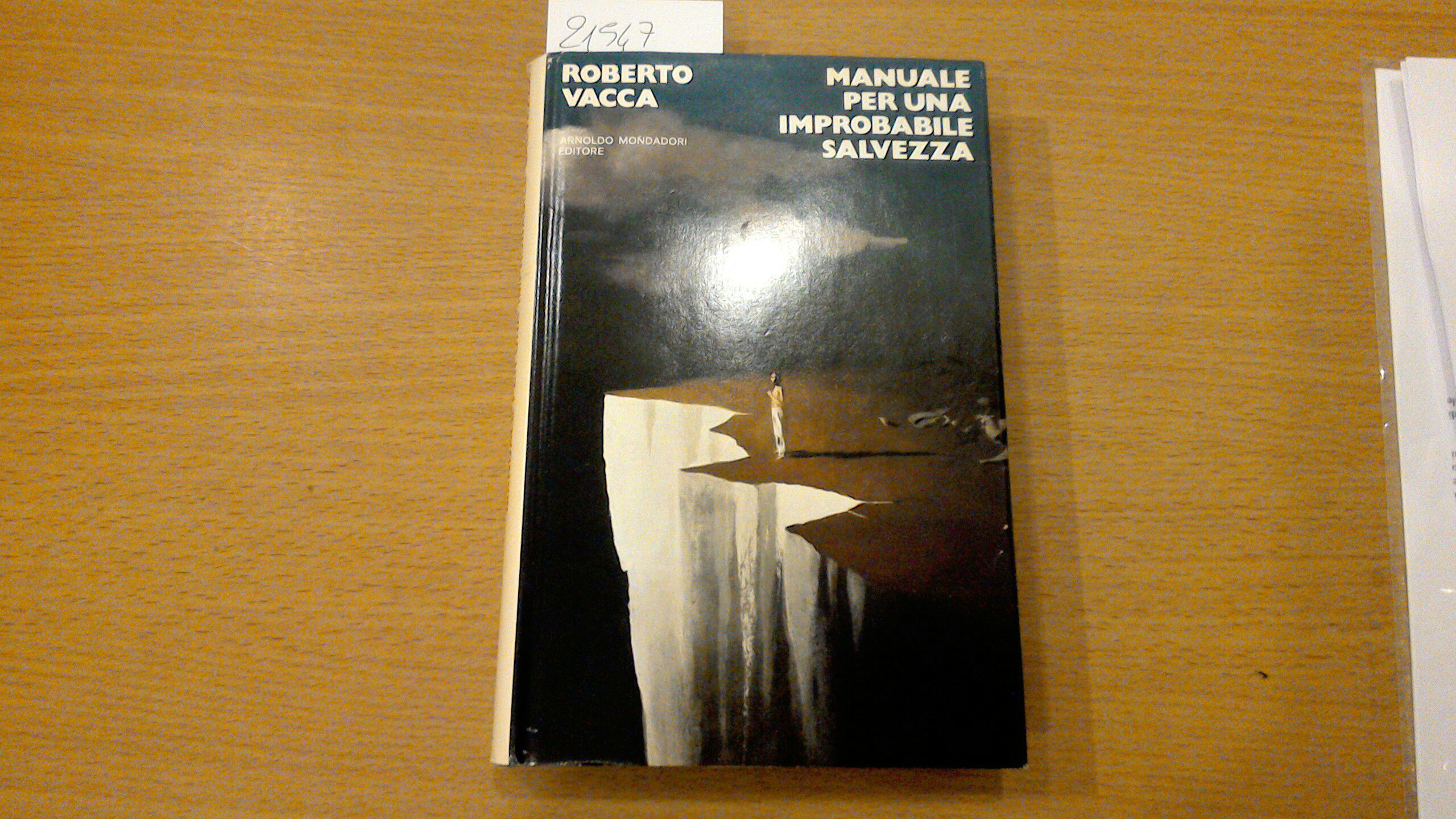 Manuale per una improbabile salvezza