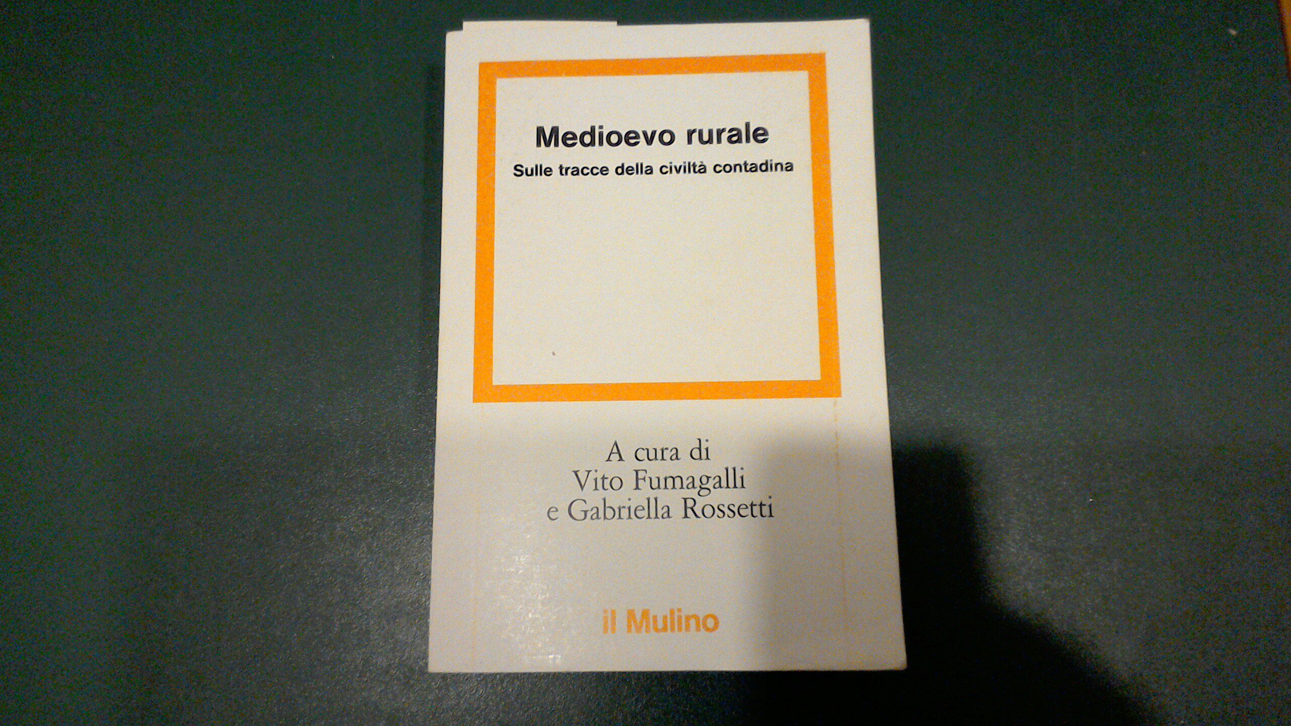Medioevo rurale - sulle tracce della civiltà contadina
