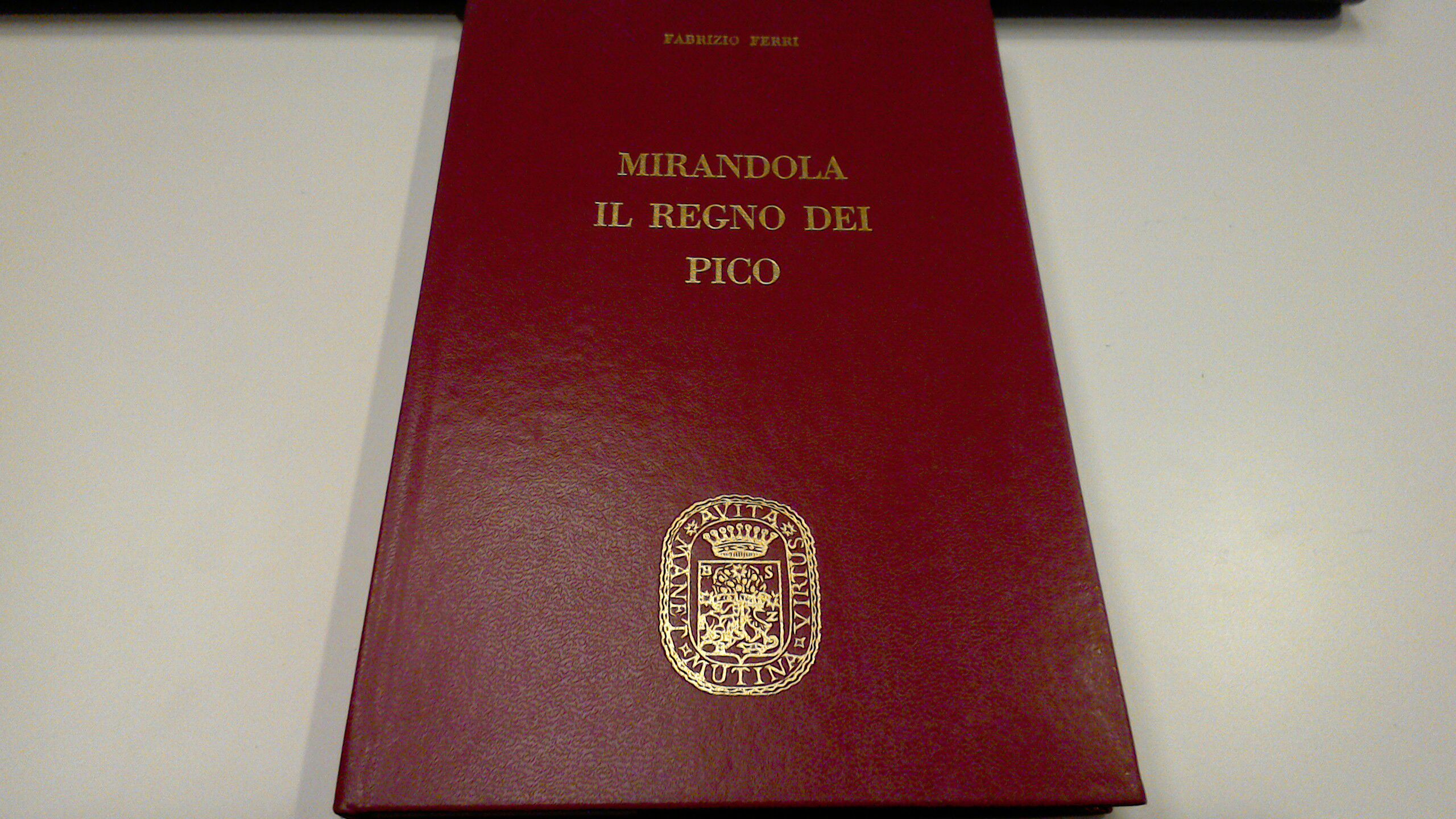 Mirandola - il regno dei Pico