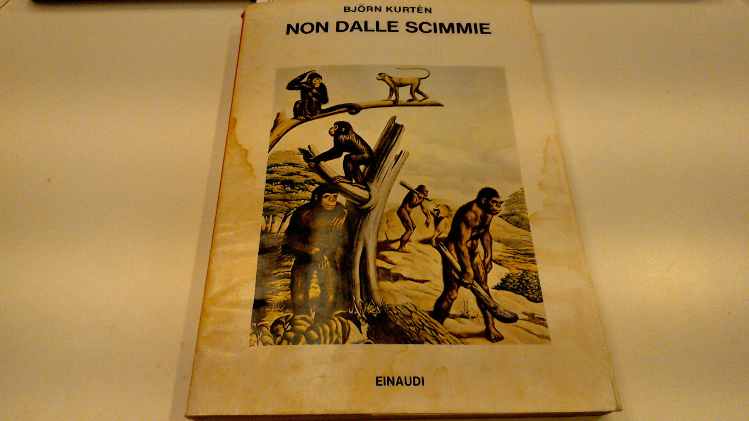 Non dalle scimmie