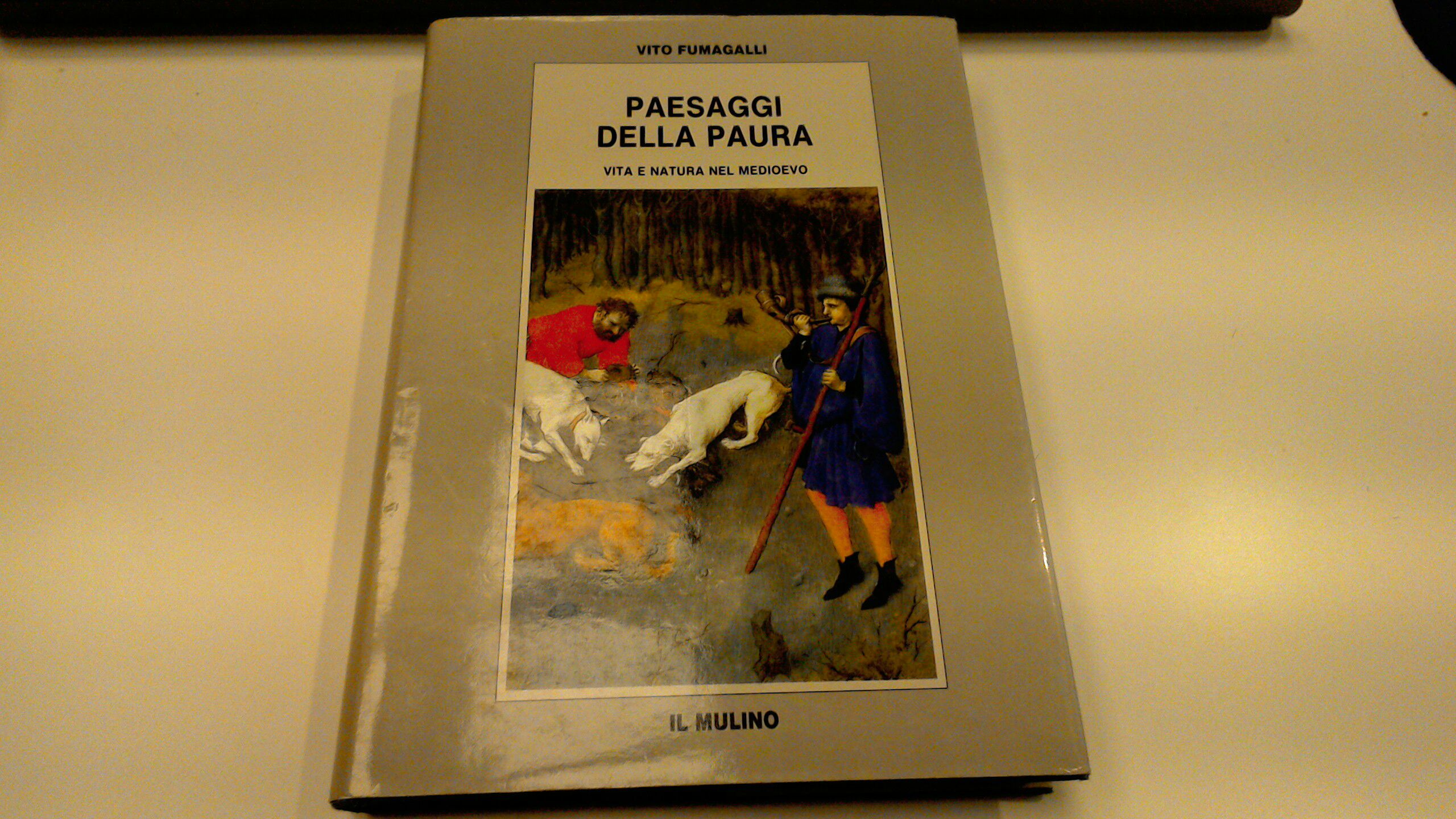 Paesaggi della paura - vita e natura nel Medioevo